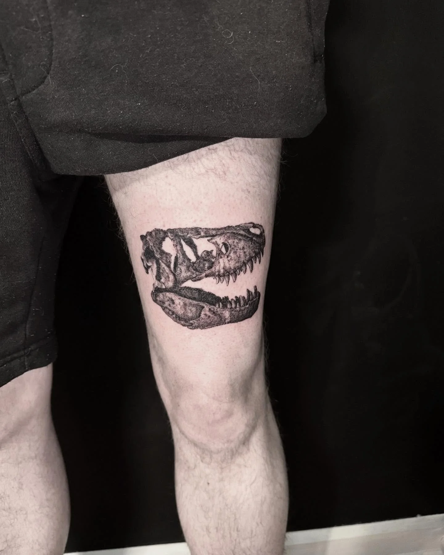 Thankyou @_lewis.james sweet Tyrannosaurus Rex from my flash sheet! plenty still available for October and November. 

#tattoos #dinosaur #tattooapprentice #adelaide #adelaidetattoos 

@rghtstuff
@vintagescarecrow