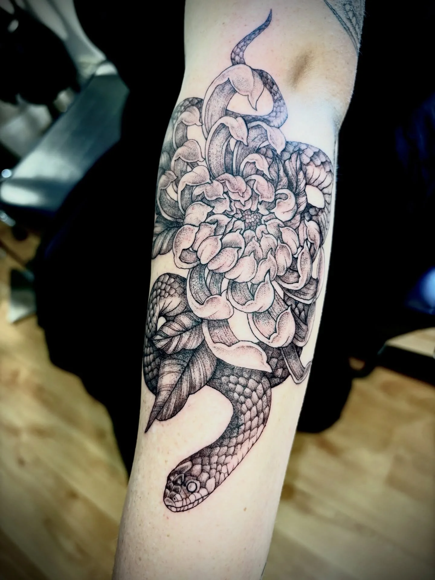 🐍

#snaketattoo #tattoo #adelaidetattoo #dynamicink