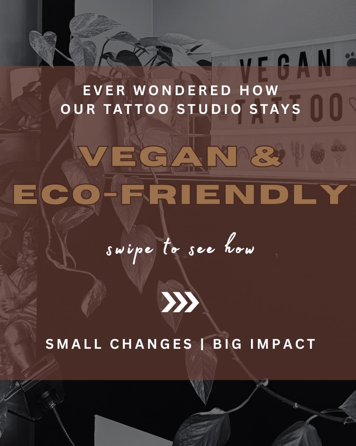 Ever wondered how our studio stays vegan and eco-friendly throughout each step of the process? 👀

Swipe to see just a few examples of some simple changes we make to keep things better for animals, better for the planet, and better for all our amazin