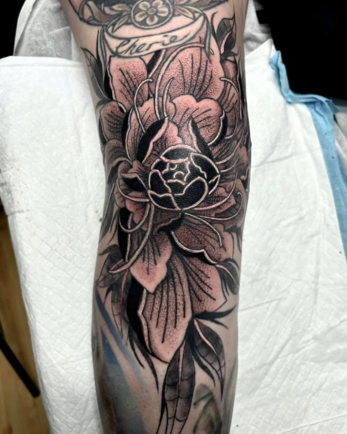 Some healed, some fresh and only touch ups to go on this knee banger by @houdini.ink 🖤

Bec&rsquo;s books are filling up so send her a DM to snatch up a last minute spot and this could be you! 🫶

#tattoo #tattooartist #adelaidetattooartist #tattoot
