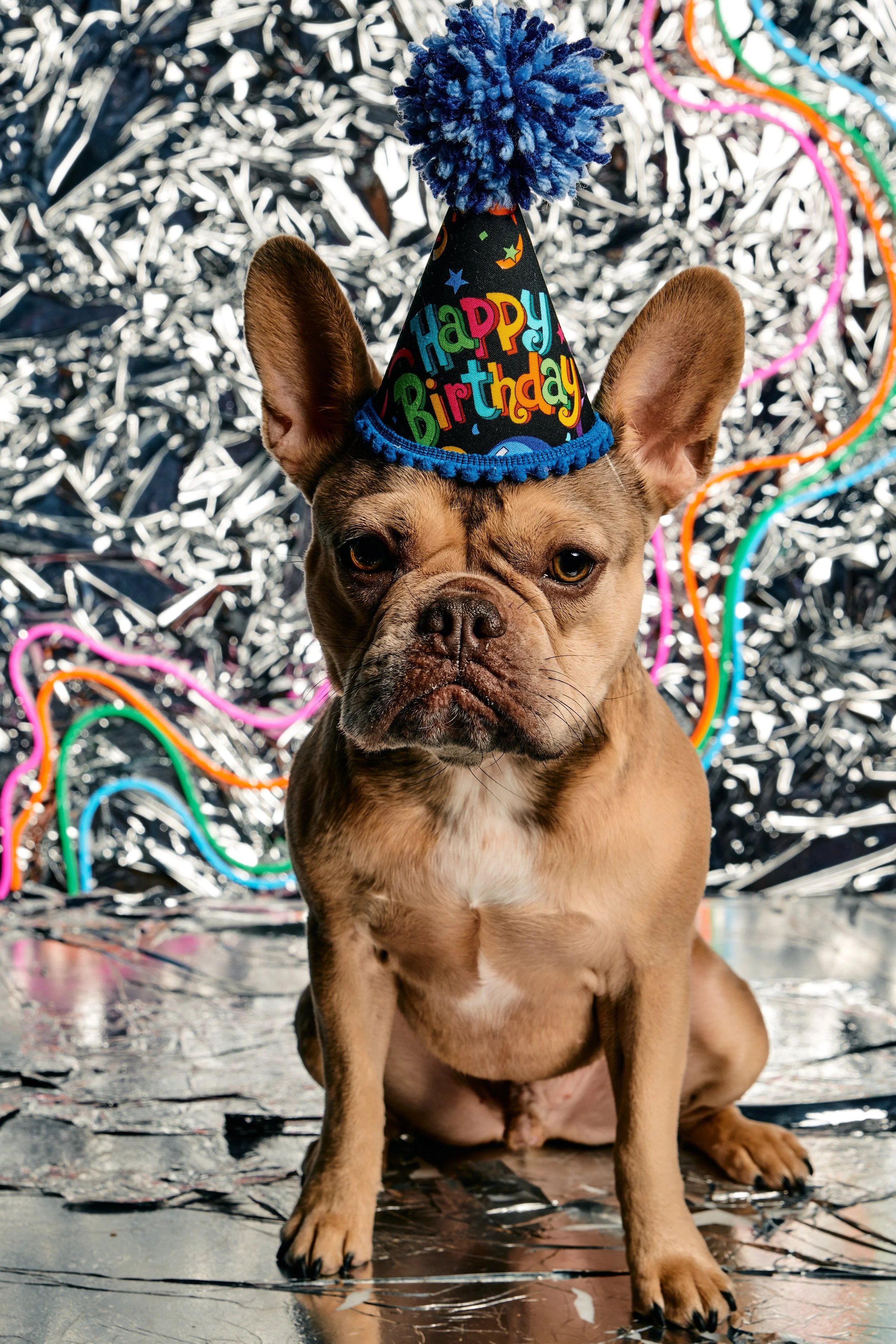 A French Bulldog wearing a blue birthday hat with colorful 'Happy Birthday' text, sitting on a shiny metallic surface with colorful neon lights in the background.
