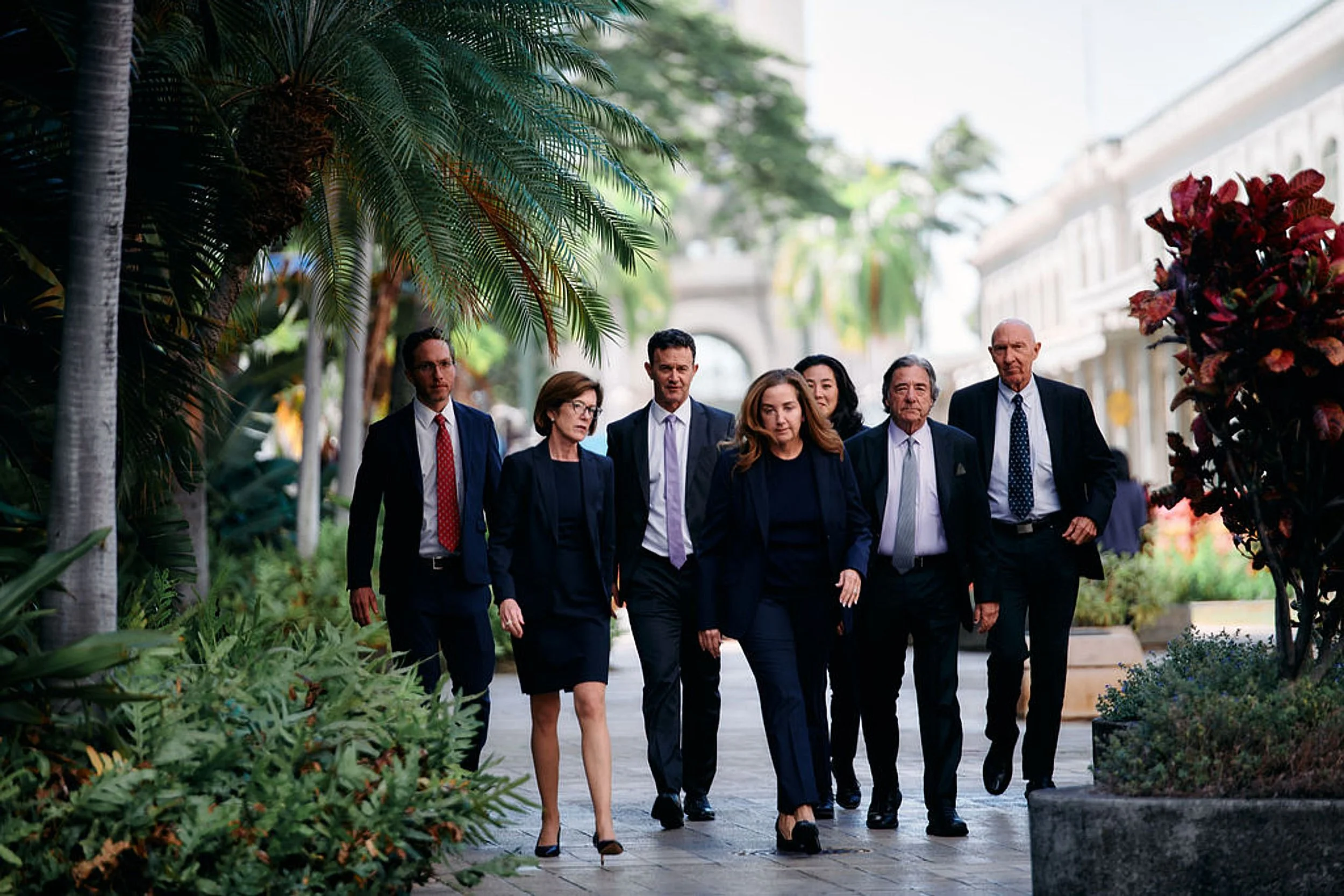 A group of seven professionally dressed people walking together outdoors in a lush, tropical environment with palm trees and plants around.