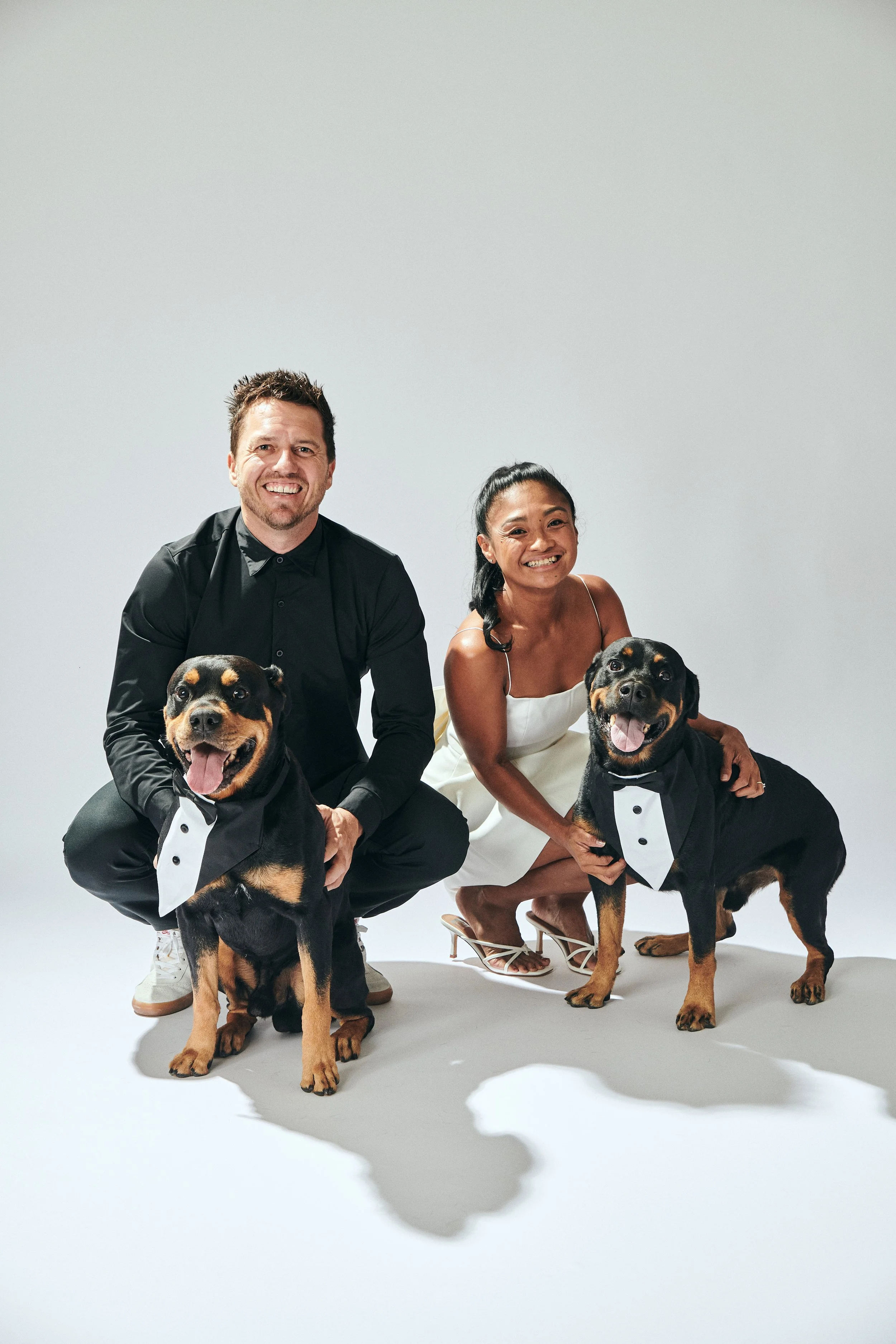 A smiling man and woman in formal attire with two Rottweiler dogs dressed in tuxedo costumes, posing on a white backdrop.