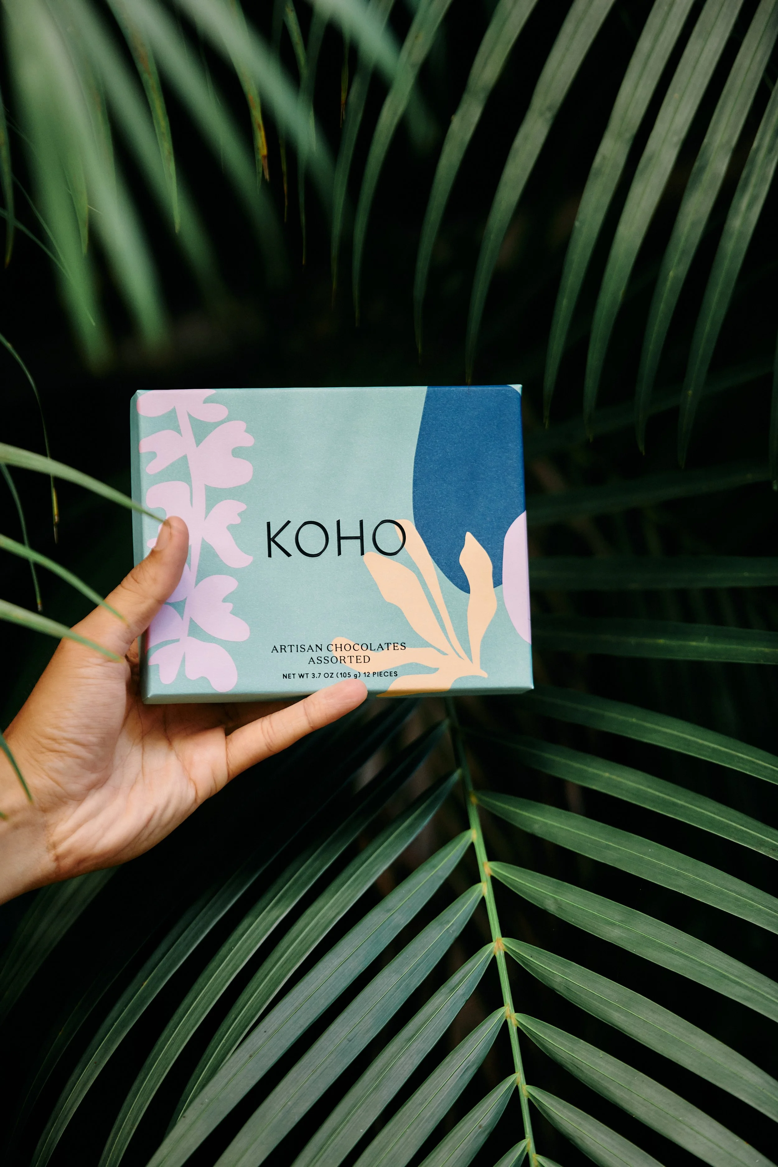 A hand holding a box of Koho artisan assorted chocolates with a nature-inspired design, against a background of green palm leaves.
