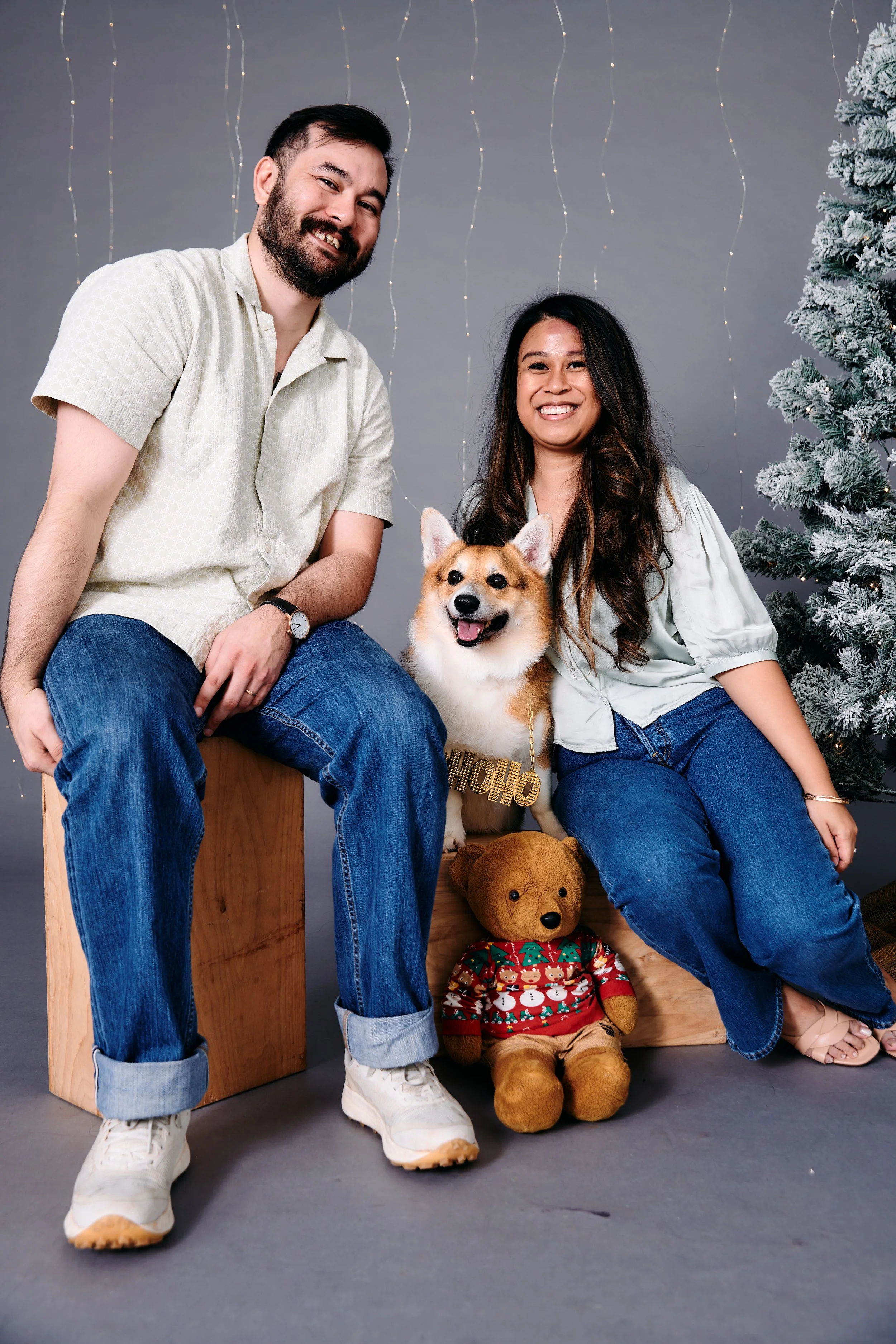 A man and woman sitting with a corgi dog, teddy bear, and Christmas decorations including a snow-flocked tree and fairy lights in the background.