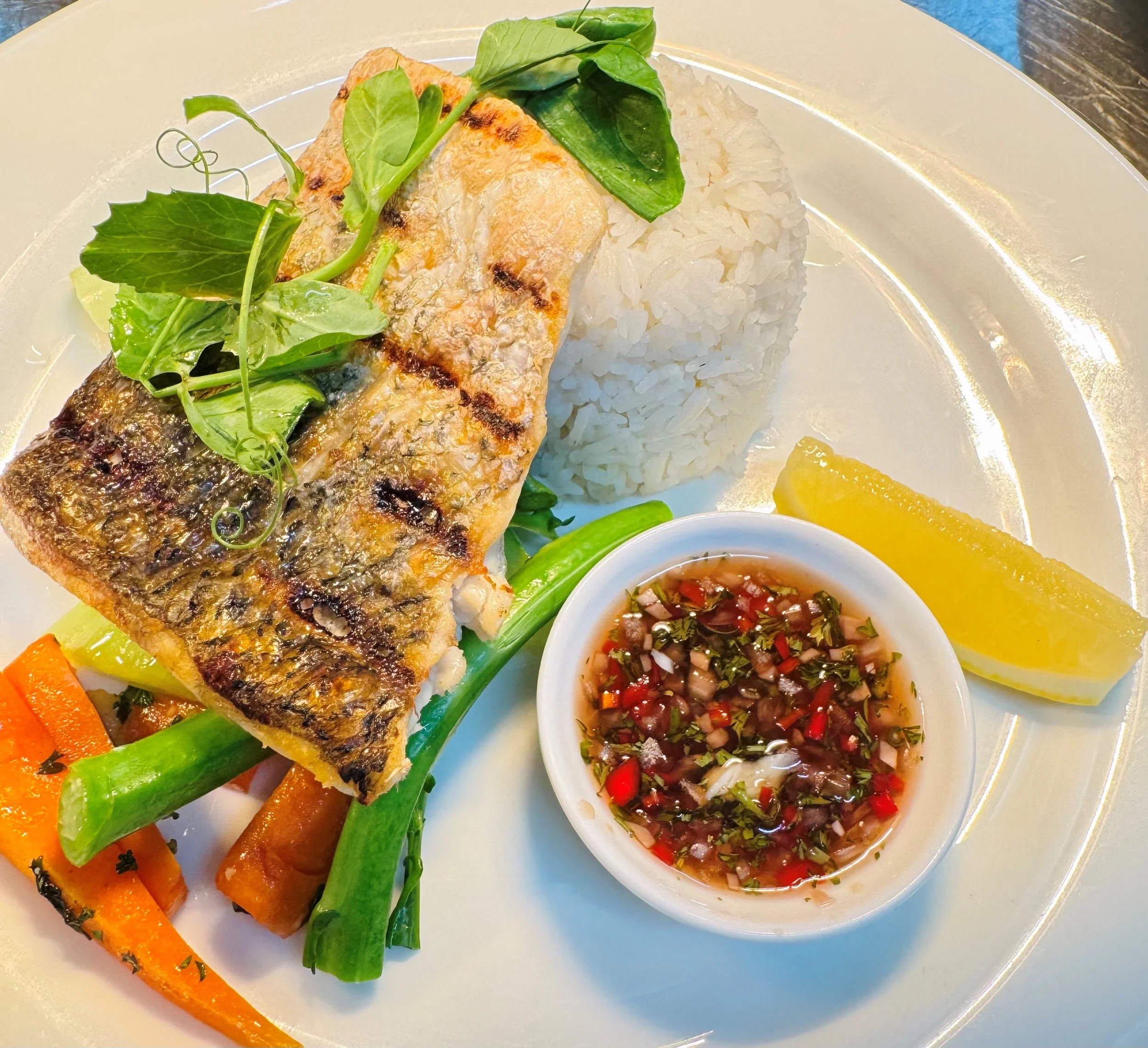 Barramundi.jpg
