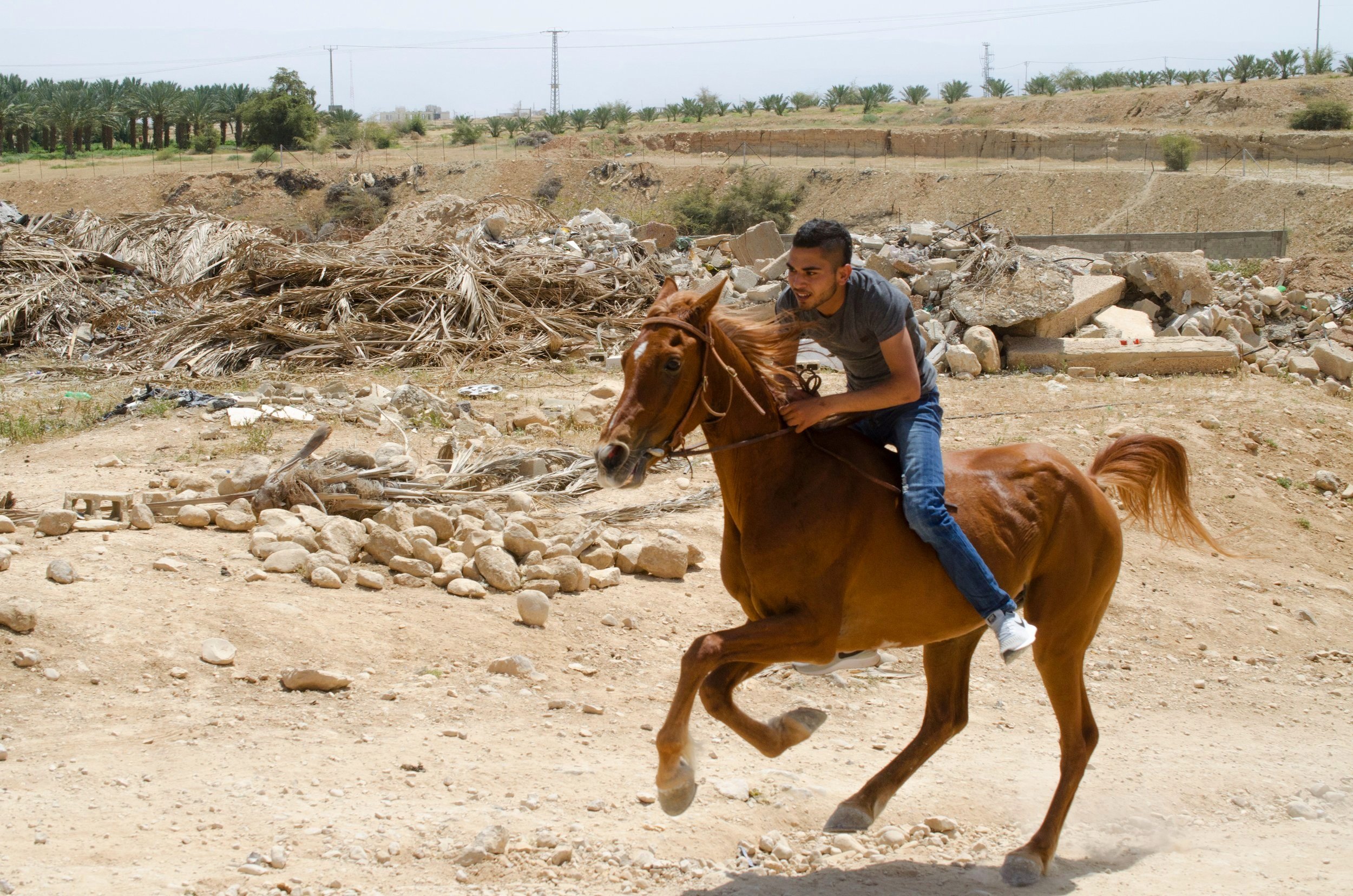 Horse+Rider+in+Jericho%2C+Palestine+-+April+2019.jpg