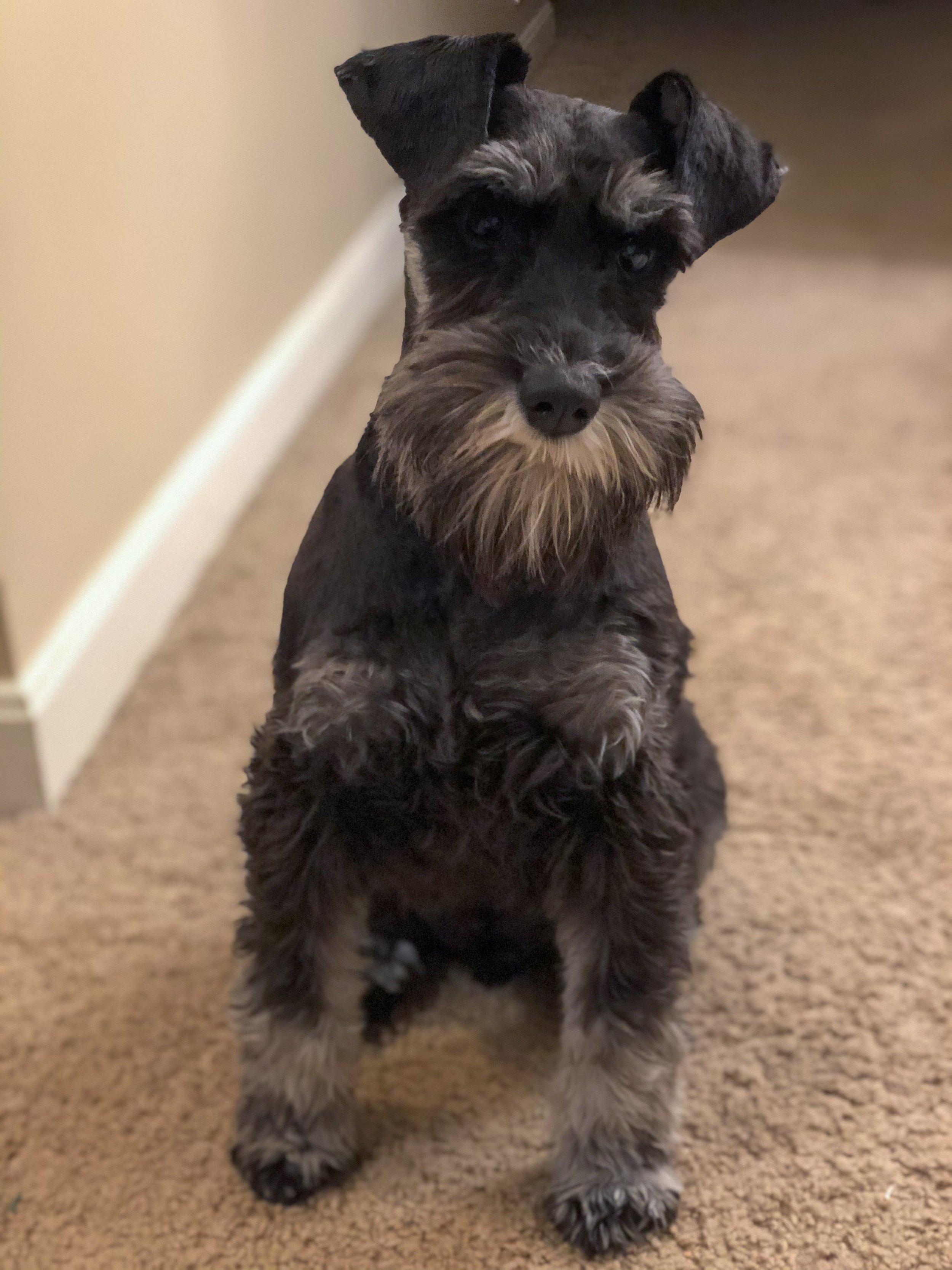 Faith based recovery