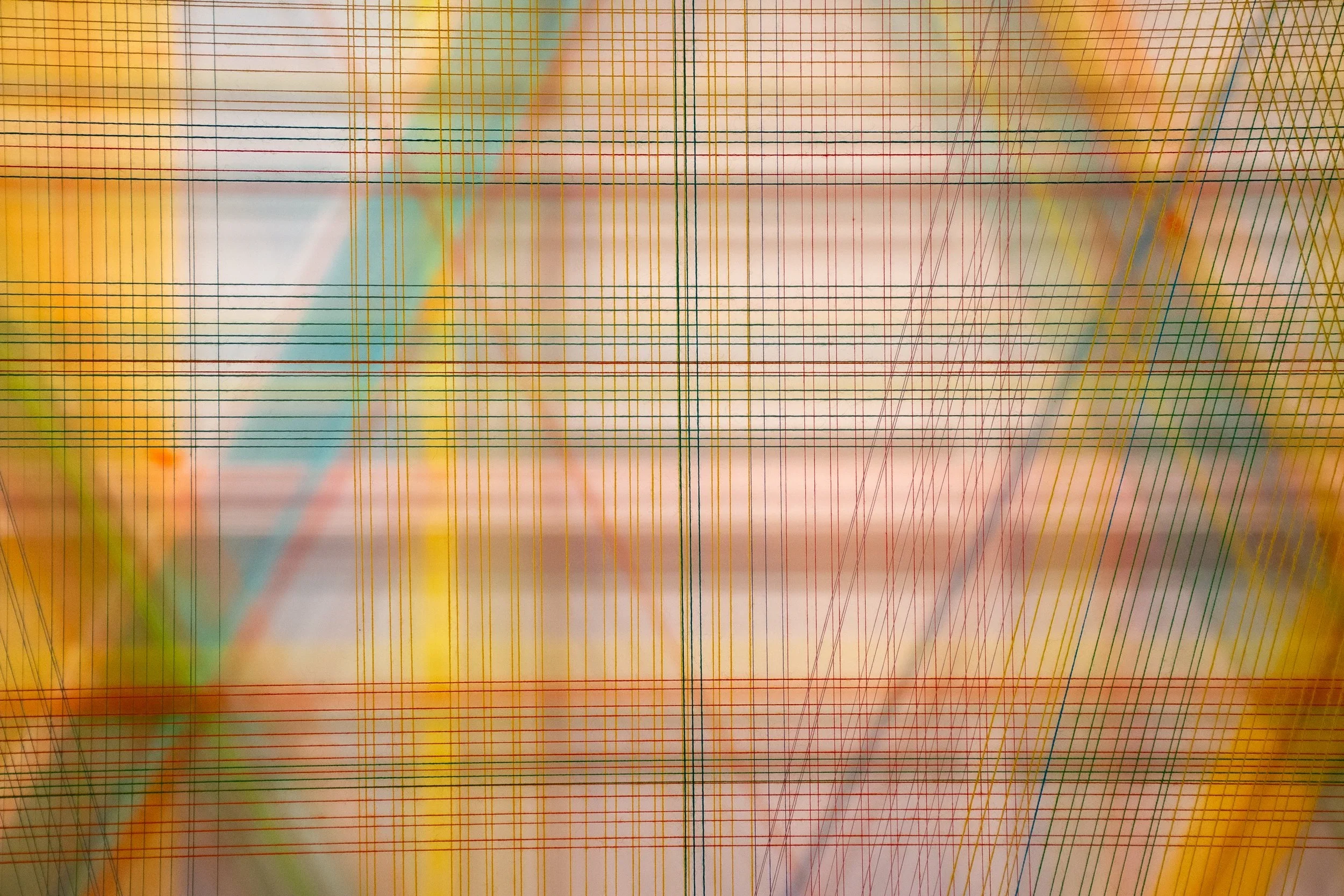 DSC_6837.webp