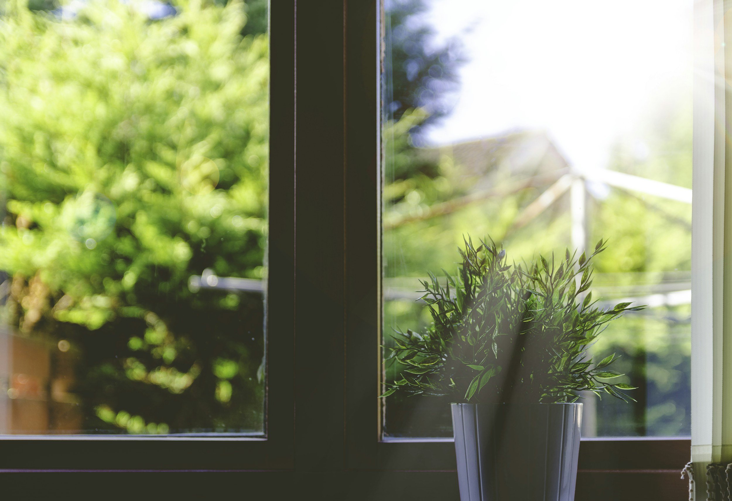 sunlight coming through window