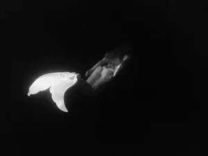 About Discover Your Beauty — Lulu Lush