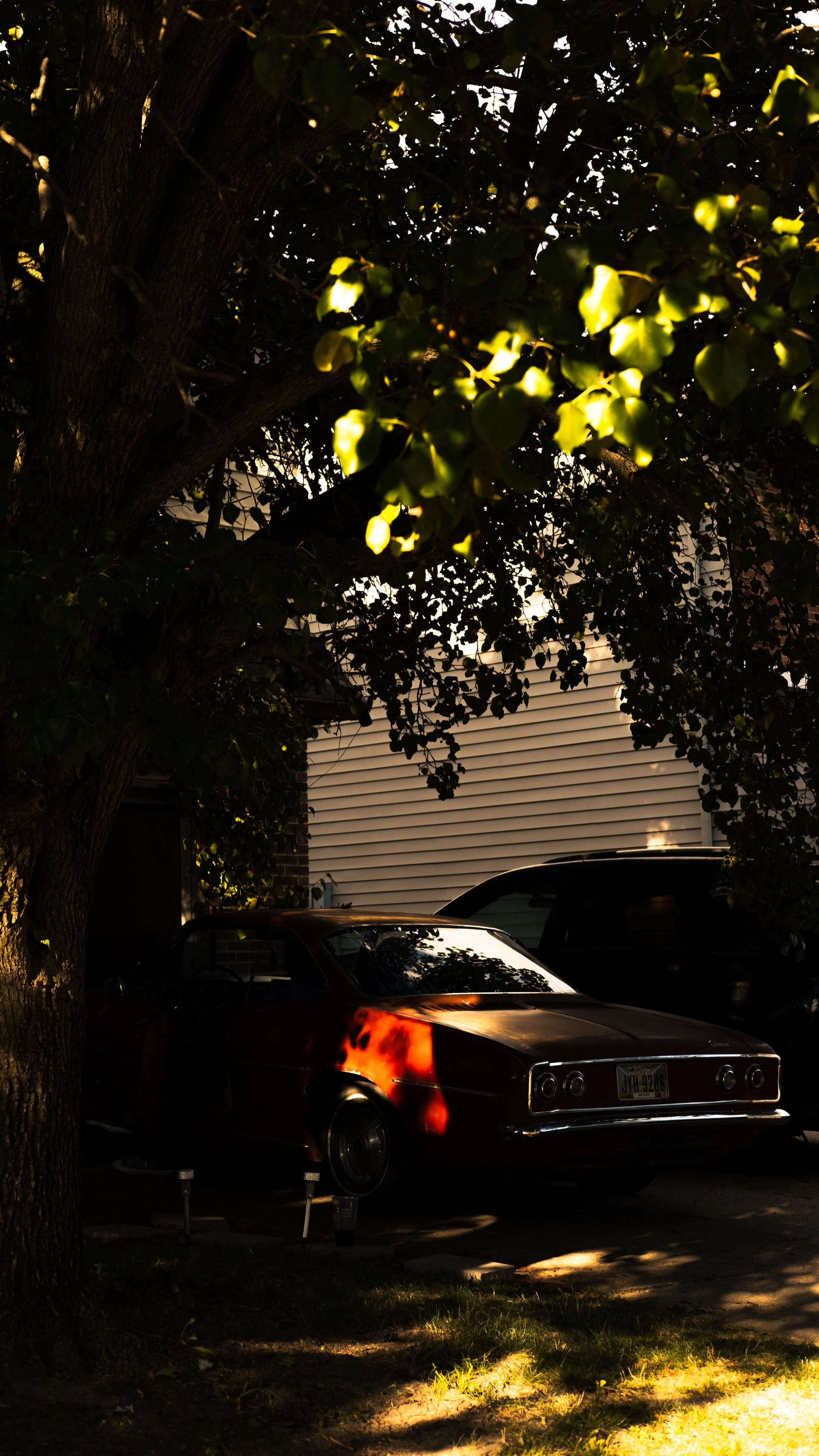 DSCF1740-2.jpg