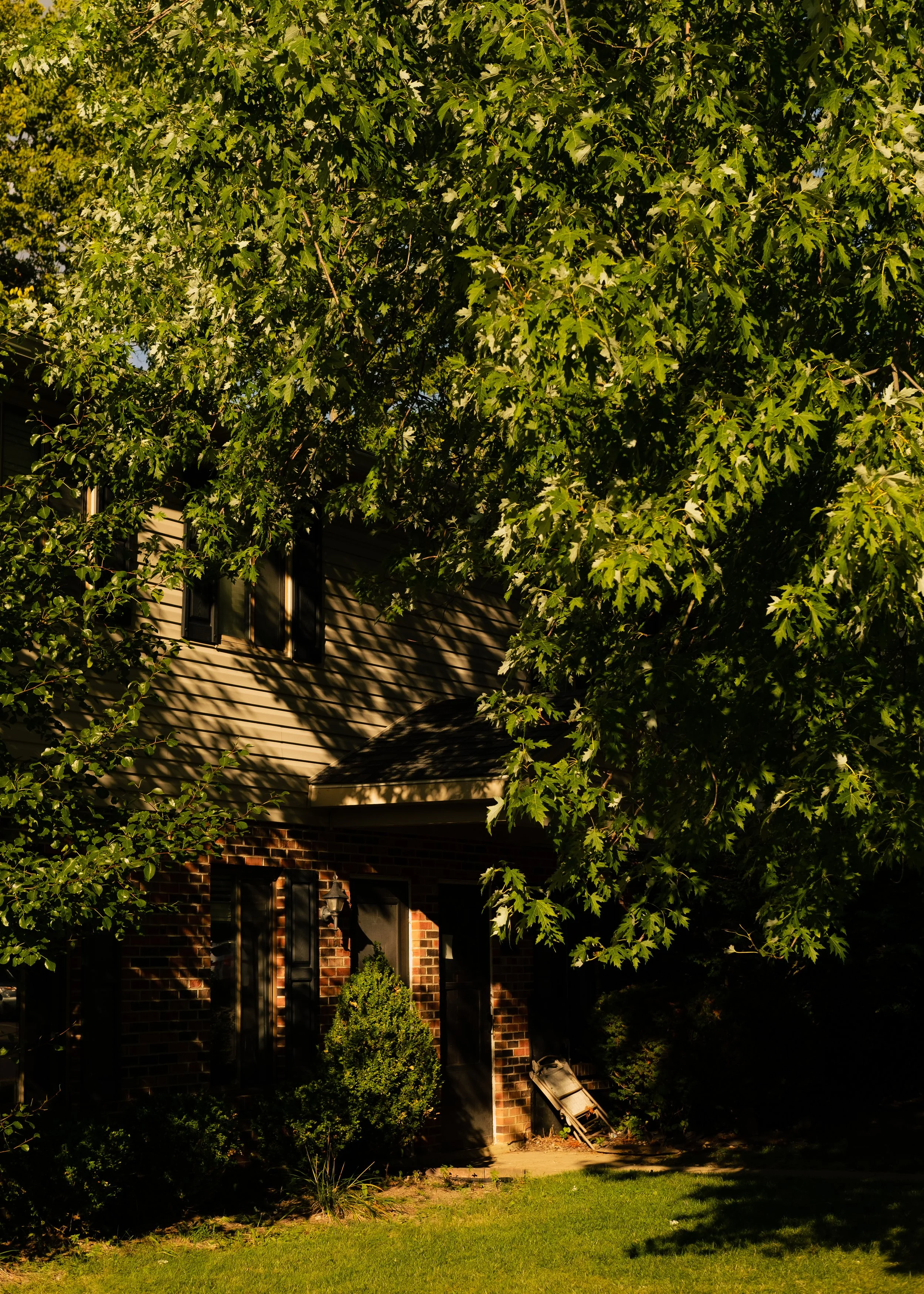 DSCF1737-5.jpg