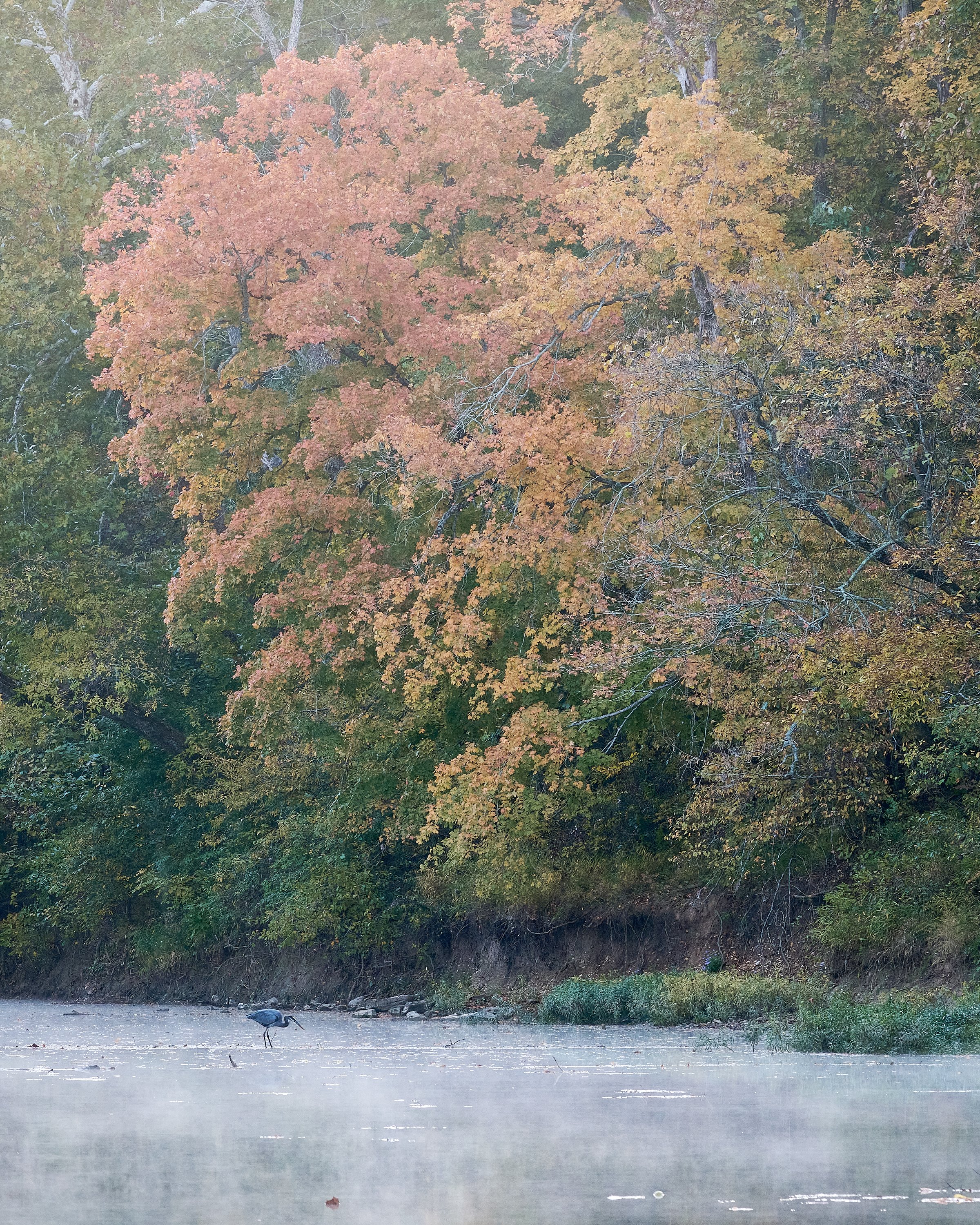 Gone Fishing (2022)