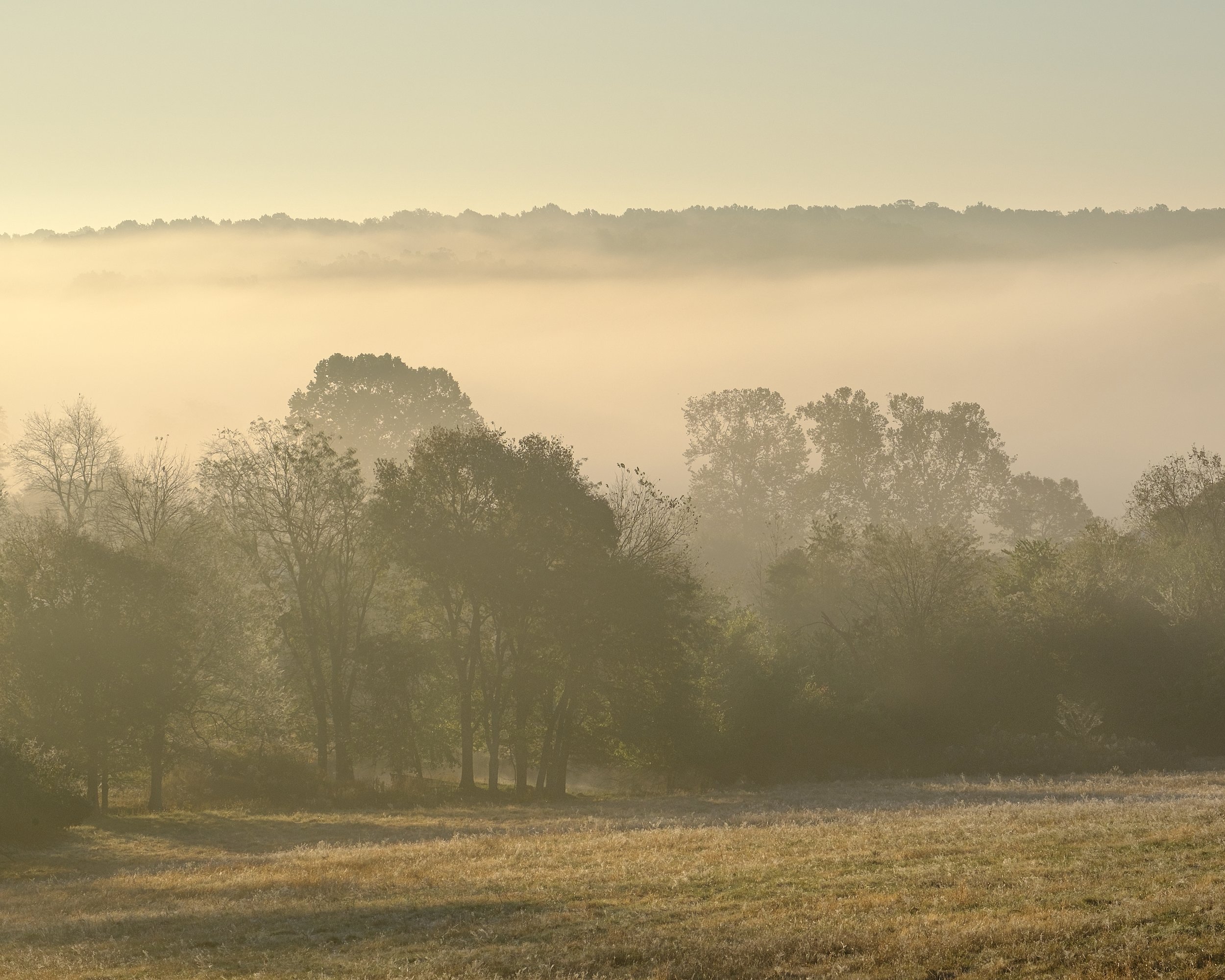 Misty Monotone (2019)
