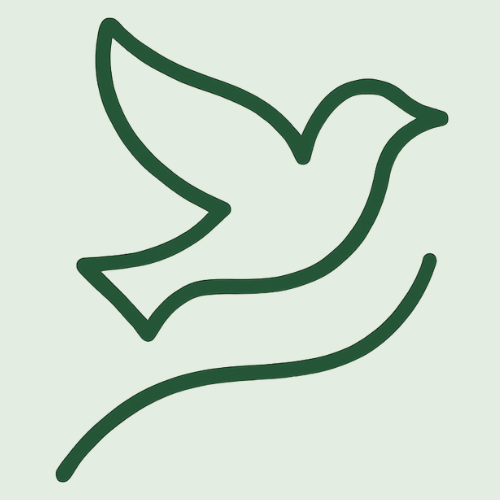 Dove 500.png