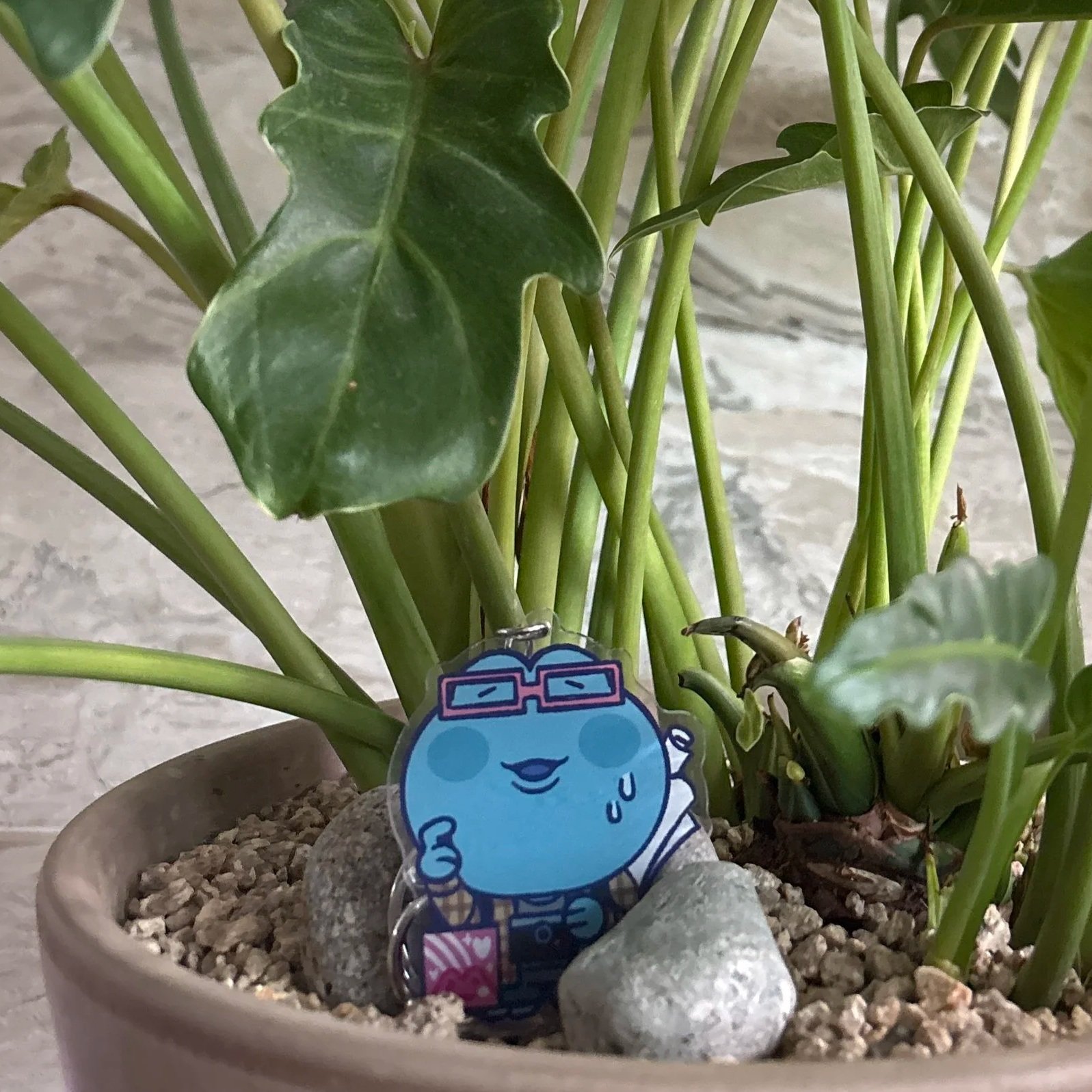 Otaku+Frog+Promo+%281%29.jpg