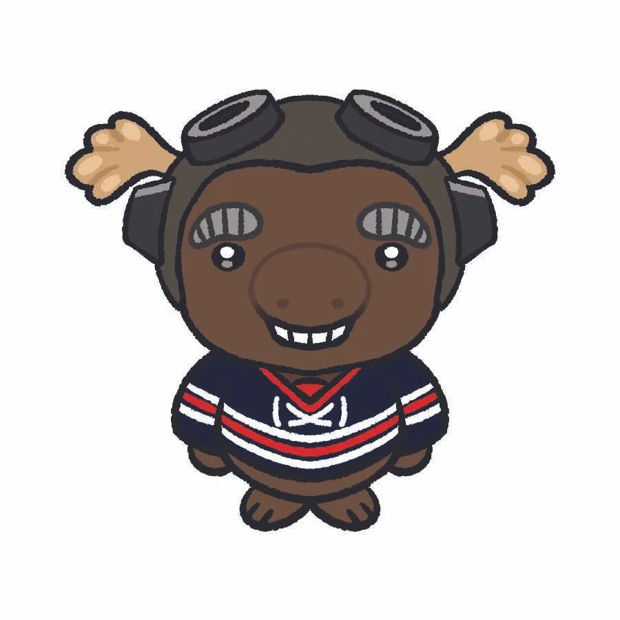 Winnipeg Jets.jpg