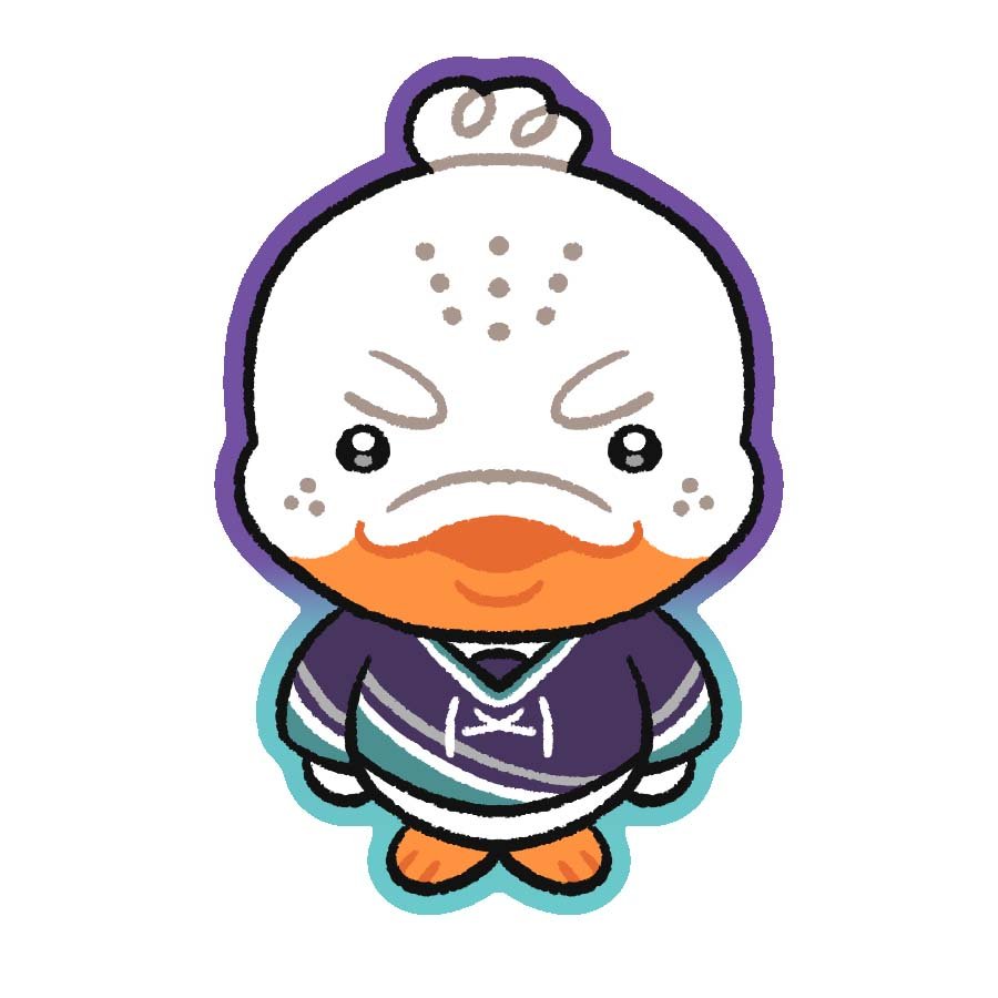 Anaheim Ducks.jpg
