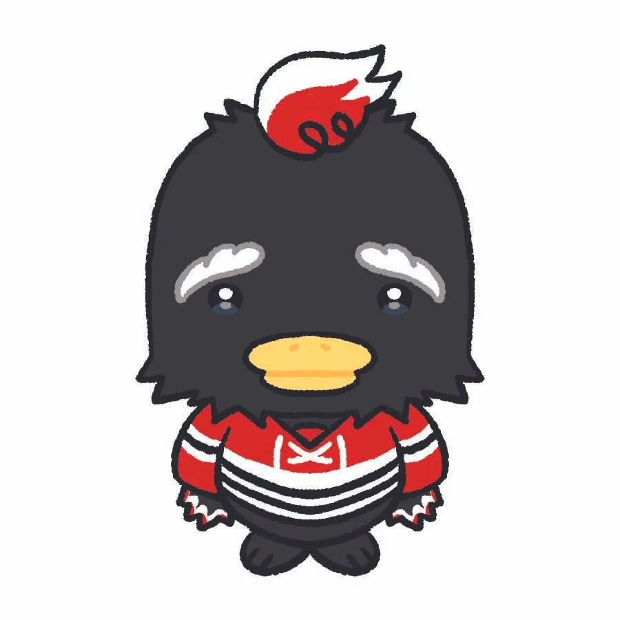 Chicago Blackhawks.jpg