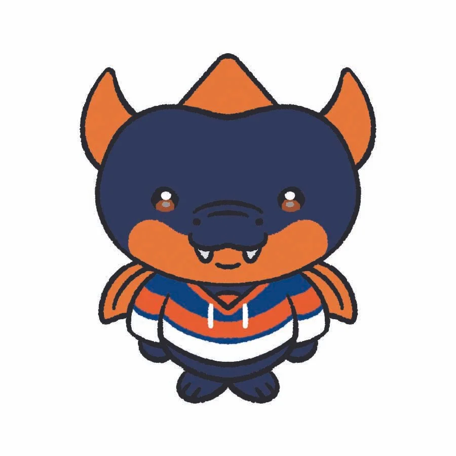 New York Islanders.jpg