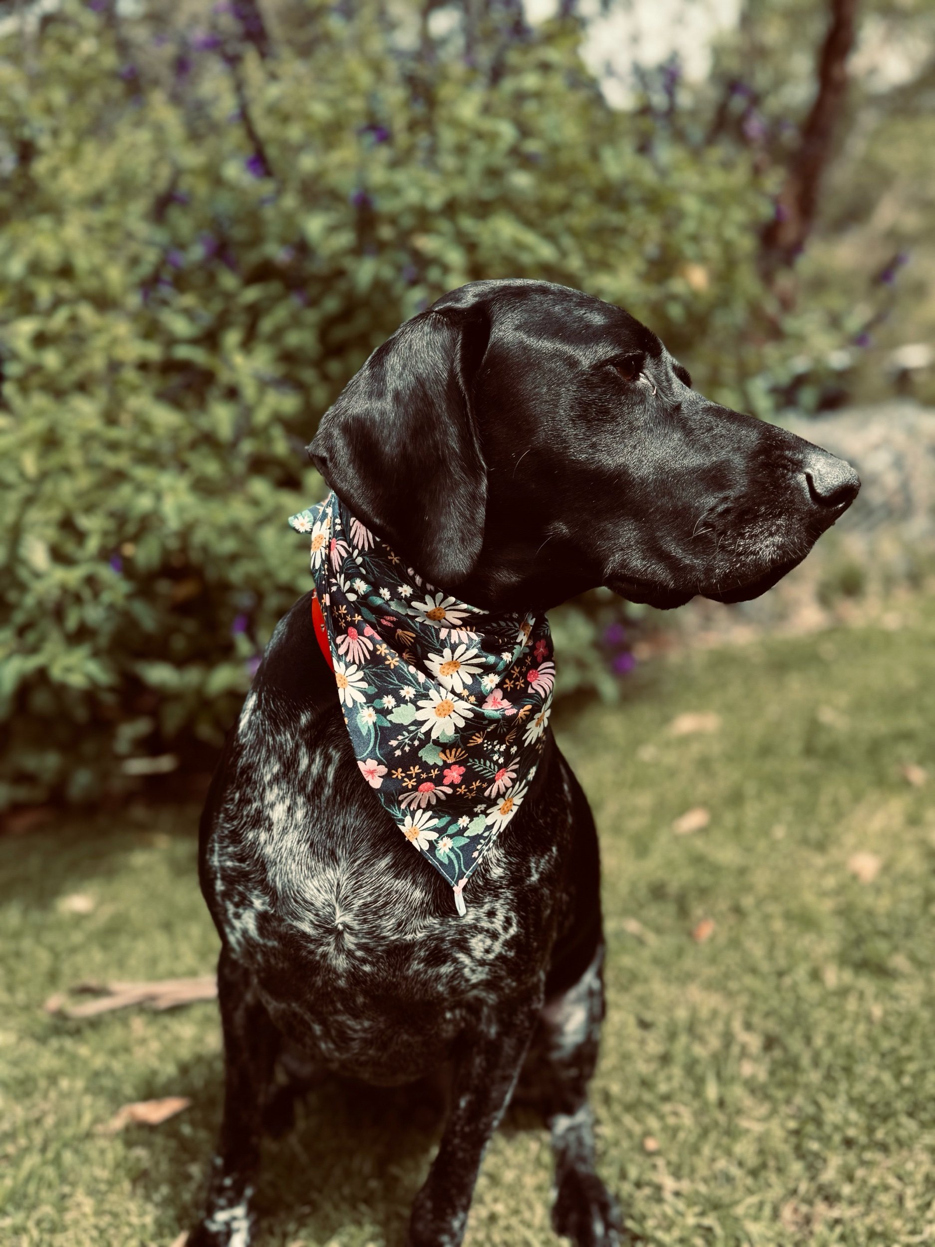 3A581C0B-D98F-4109-AA19-270E0657C731.jpeg