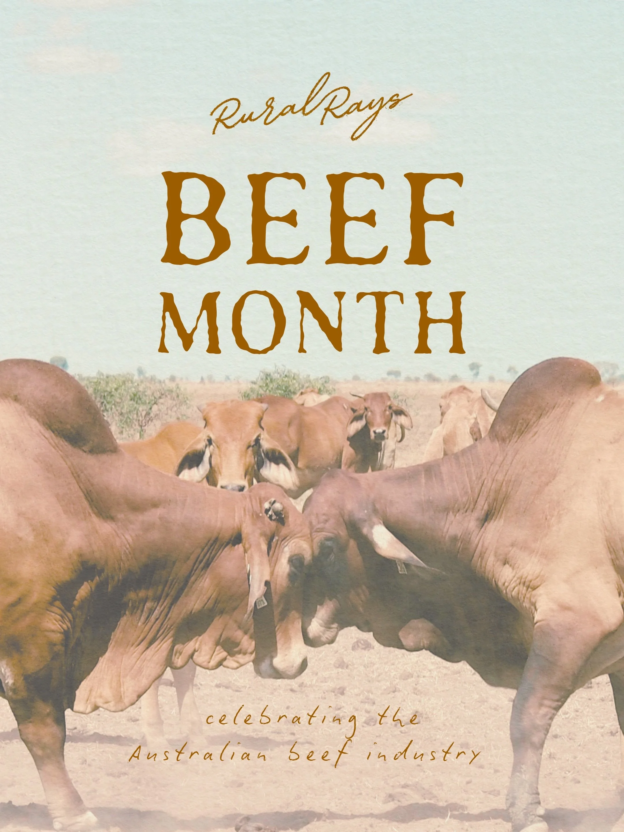 It&rsquo;s Beef Month in the USA, but here in Australia we&rsquo;re always happy to celebrate one of our greatest industries!! 

Let&rsquo;s celebrate the people behind it all&hellip;

From the station hands, to the station managers, feedlot crews, t