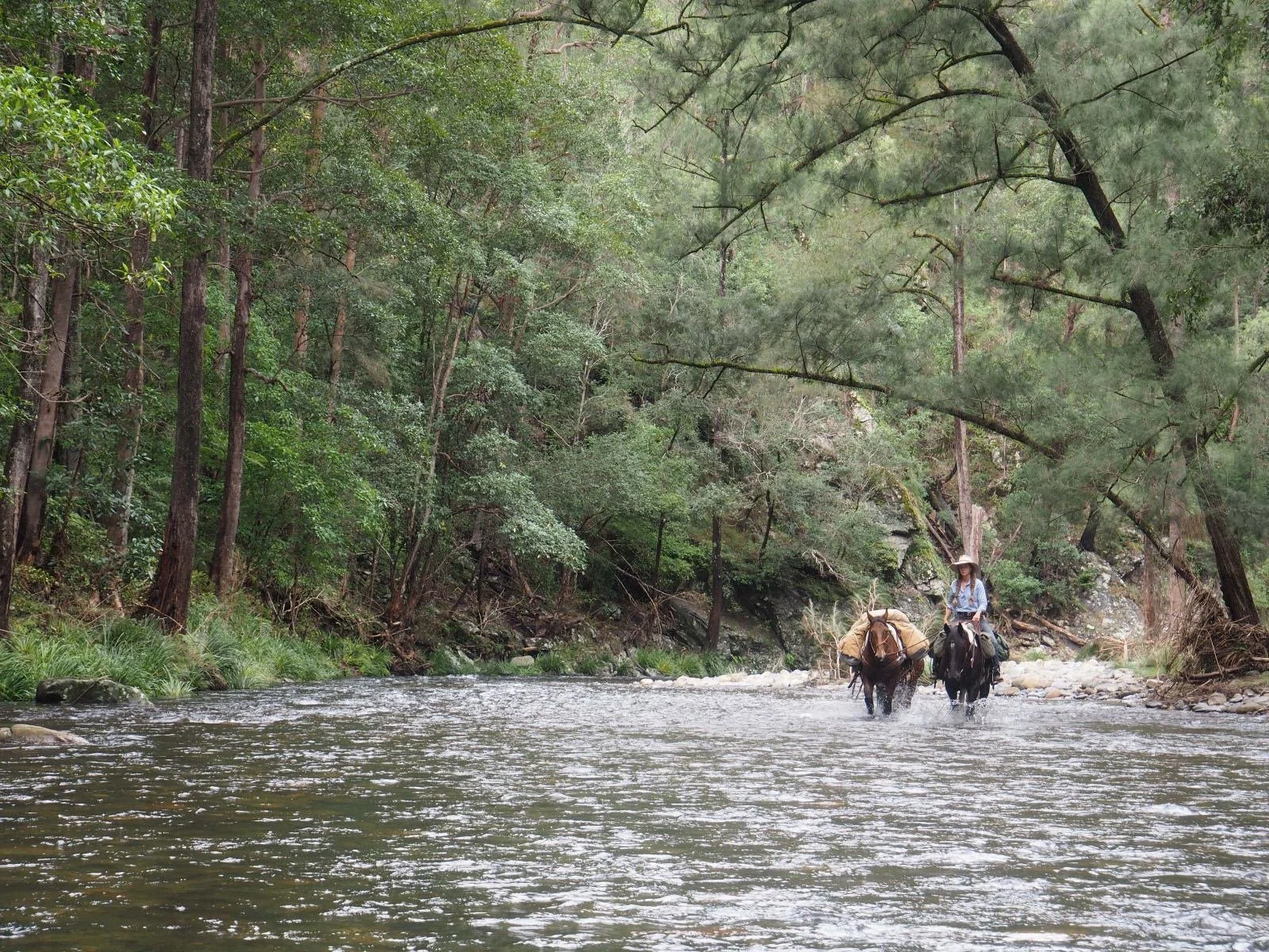 Georges Creek, NSW. National Trail, Horse Trekking Australia