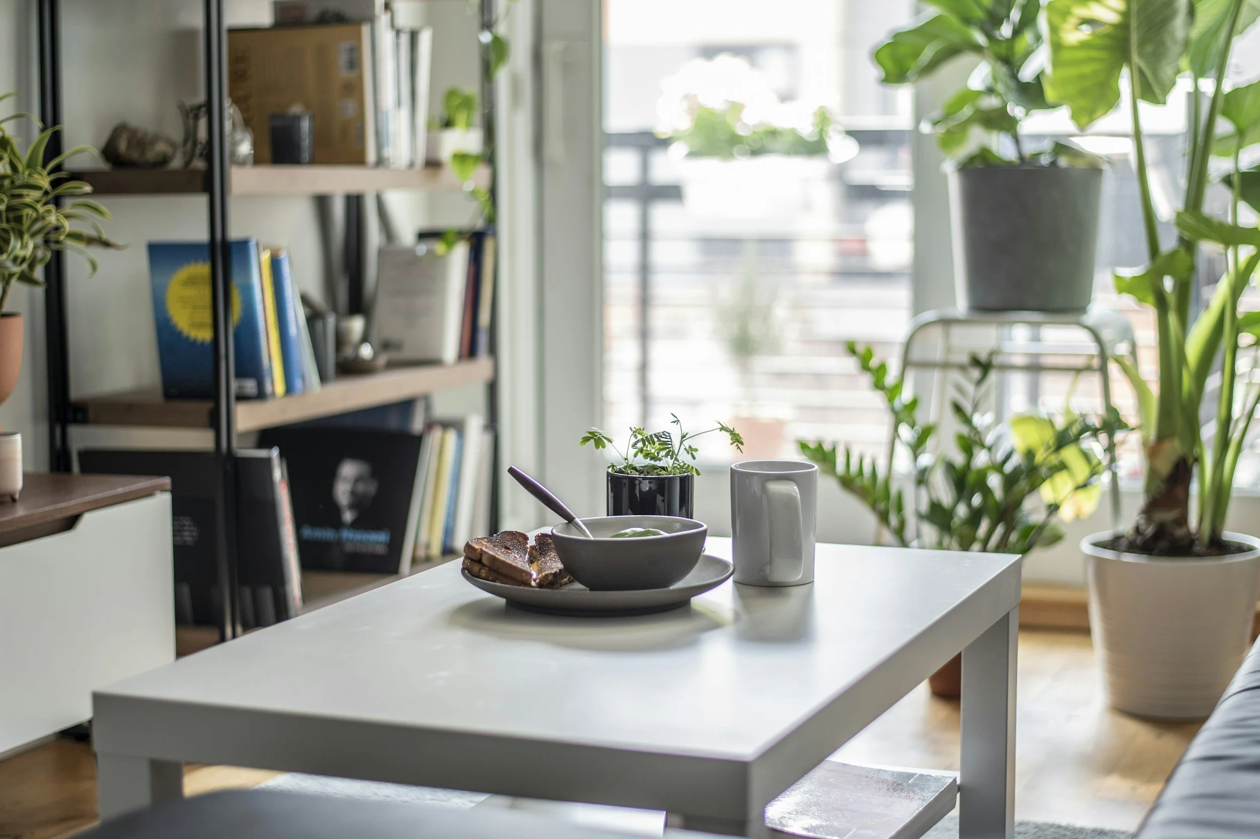 Ein gedeckter Tisch mit einem Teller mit Toast, einer Tasse Kaffee, einer Tasse mit einem grünen Getränk, einem Löffel und einer Pflanze auf der weißen Tischfläche. Im Hintergrund sind Bücherregale, Zimmerpflanzen und ein Balkon mit einer Brüstung zu sehen.
