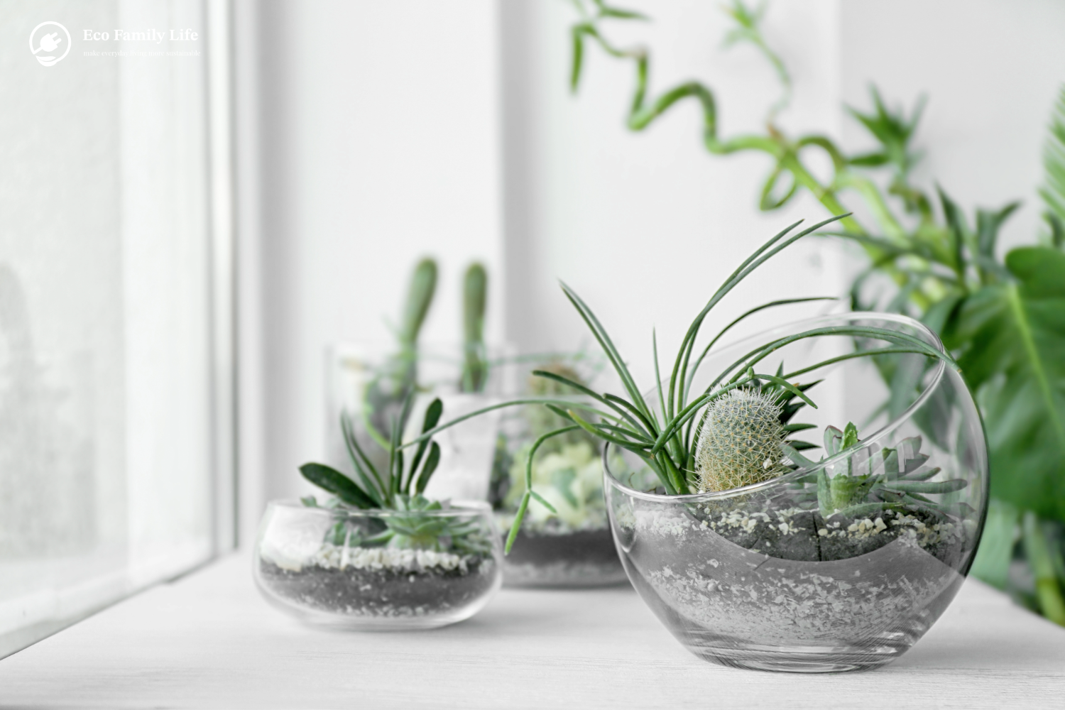 The New Home Décor Trend: 12 Most Popular Terrarium Styles