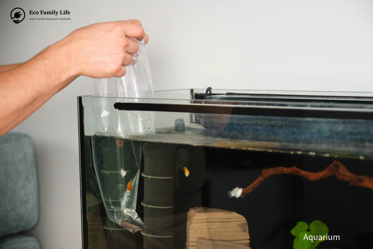 5 Common Mistakes Aquarium Beginners Make: Essential Tips for a ... - Beginner Mistakes In Saltwater Aquarium Chemical Dosing