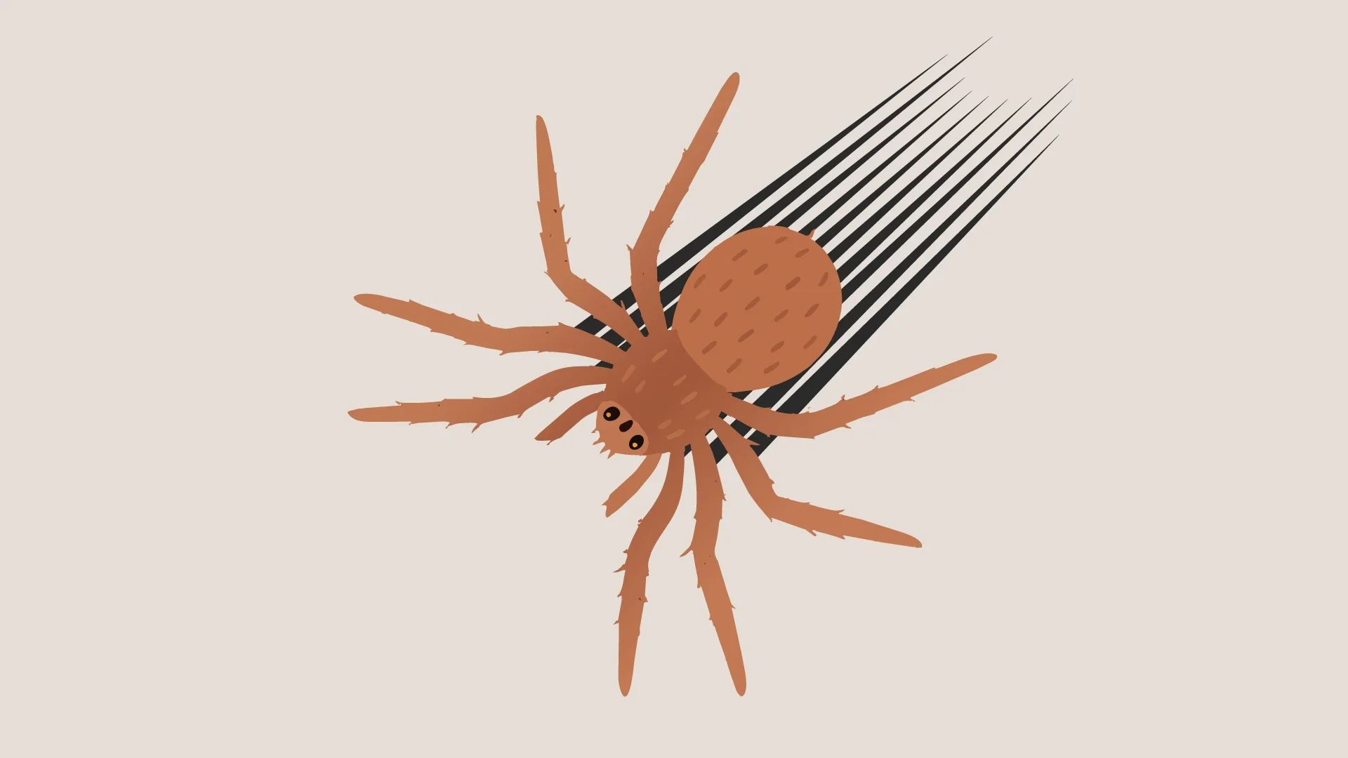 Huntsman Spider speeding across the screen