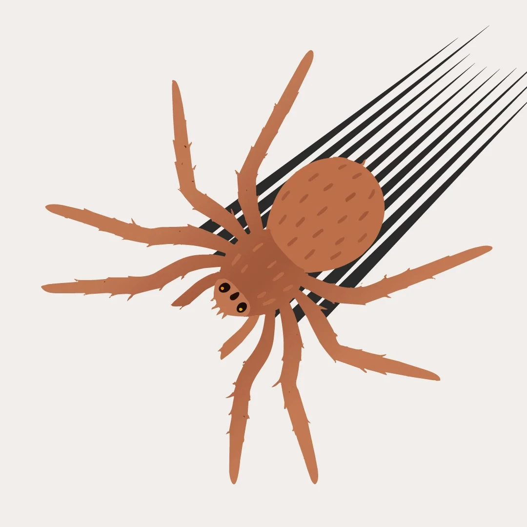 Think you can outrun a Huntsman? Think again!