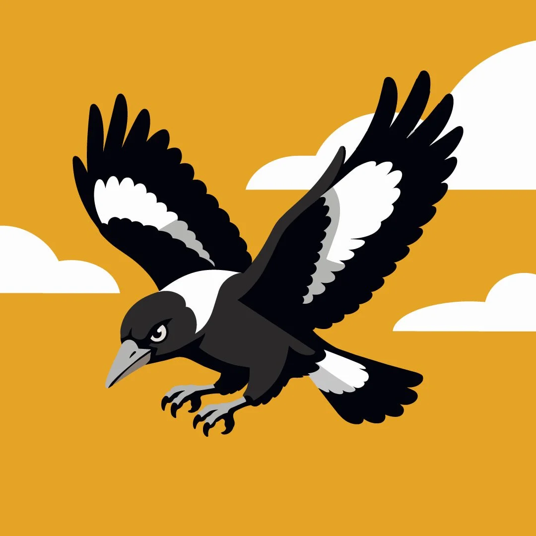 Look out above! It’s Maggie swooping season