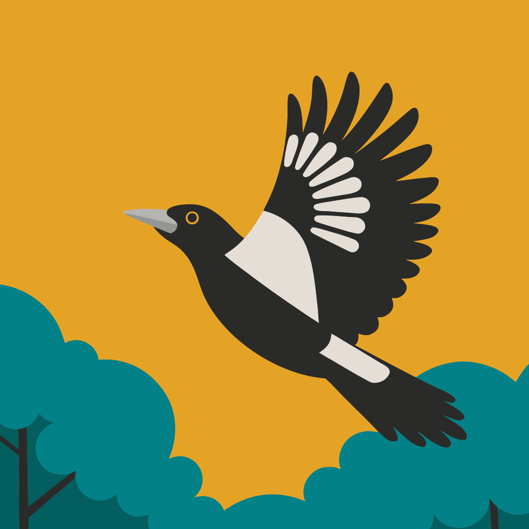 Tips to surviving Australia