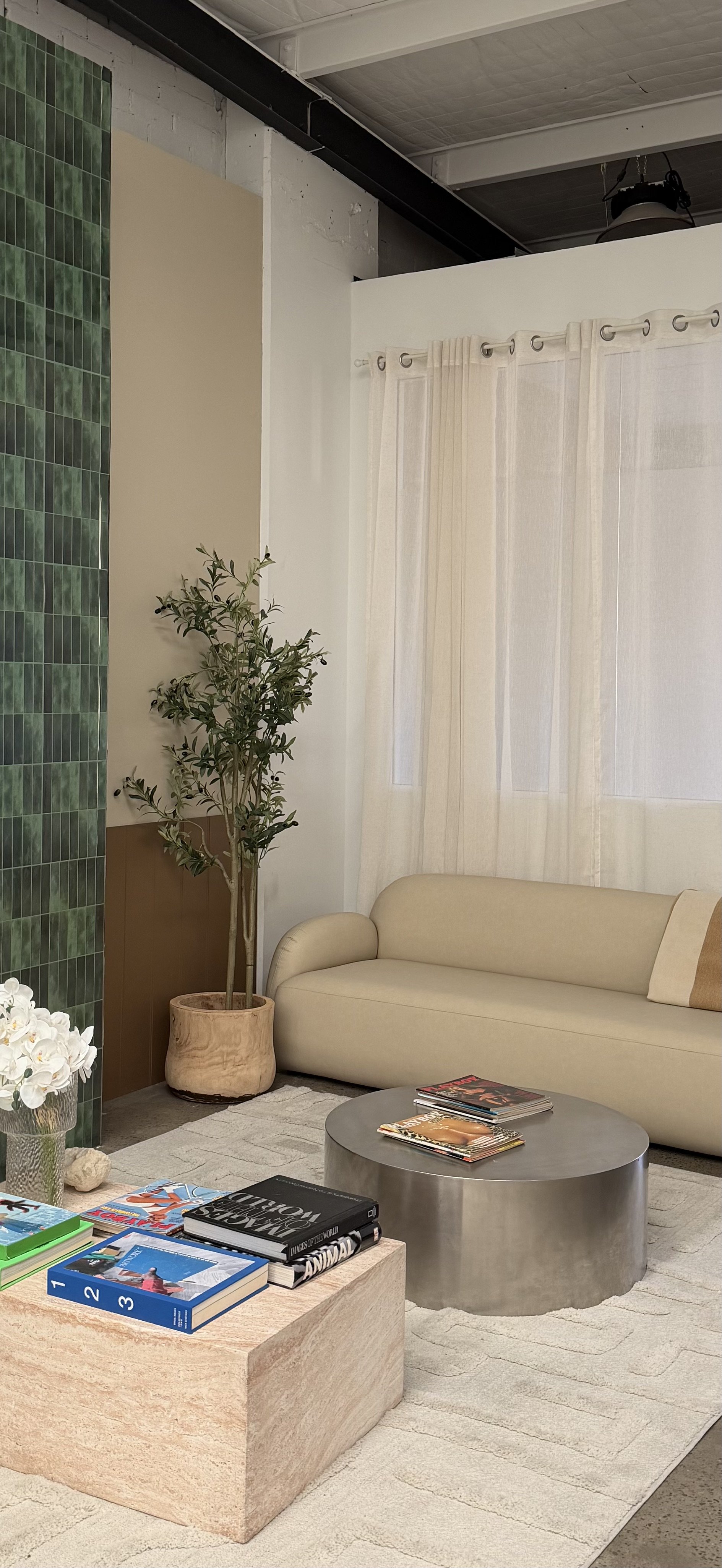 Interior of a modern living room with a beige sofa, a round gray coffee table with magazines, a light-colored rug, potted plant with green leaves, white curtains, and a green tiled wall.