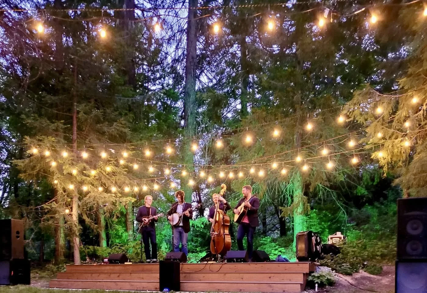 Musicians performing on a wooden outdoor stage in the woods, string lights hanging above, green landscape background.