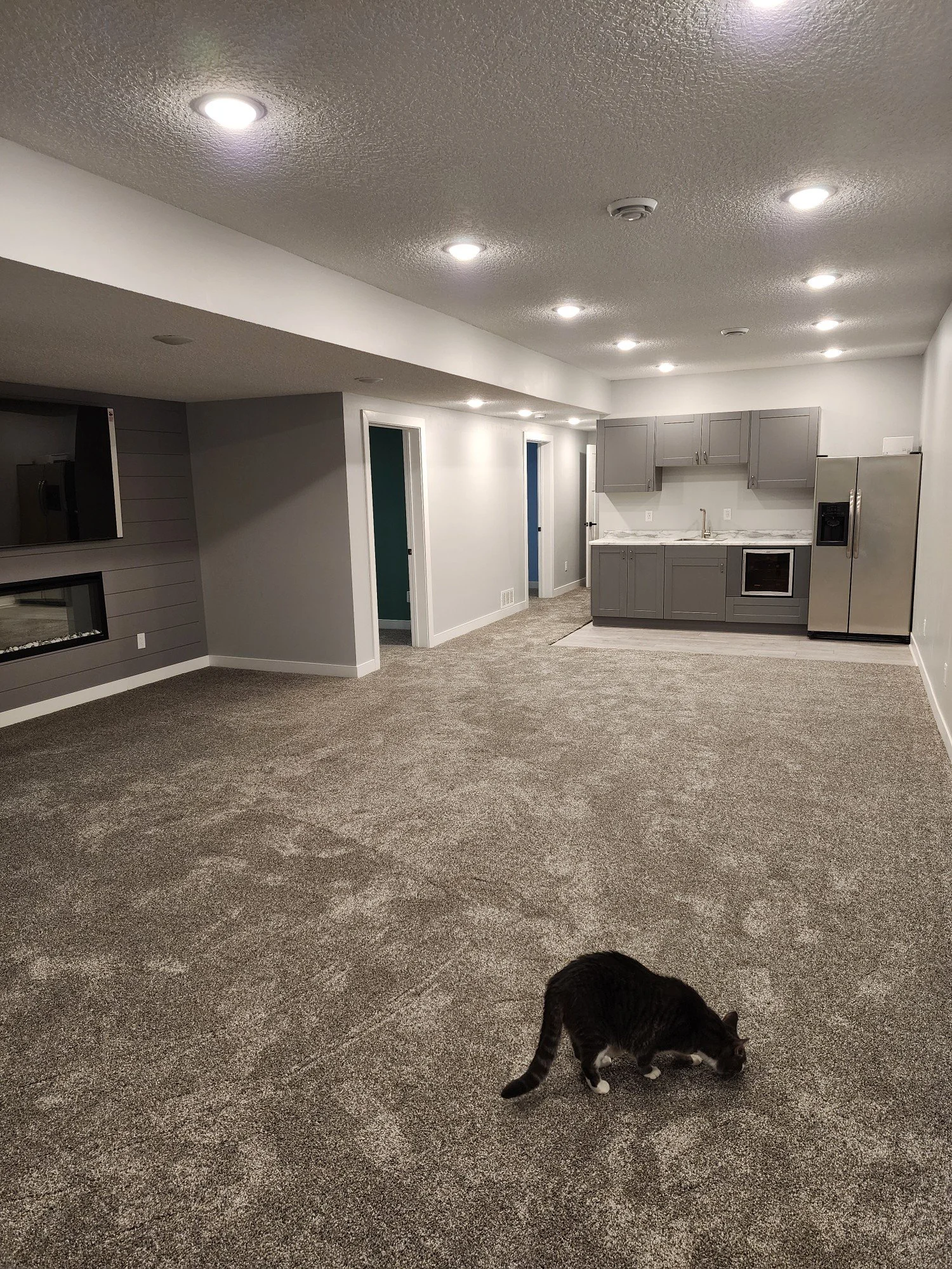 Stuhr Basement 2.JPEG