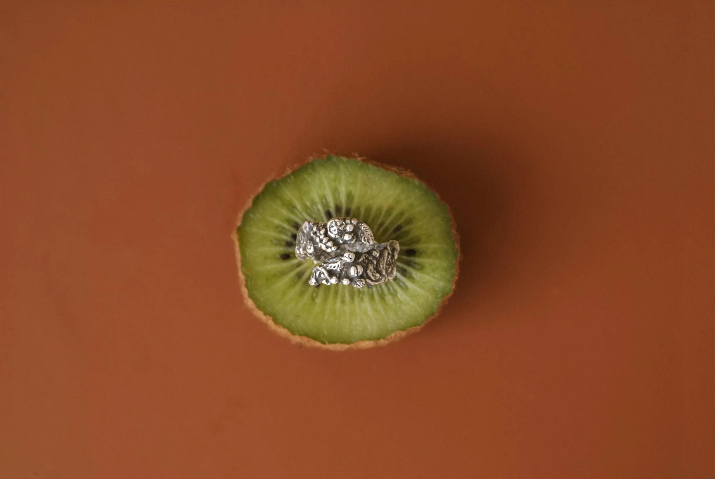 ofthespiritkiwi.jpg