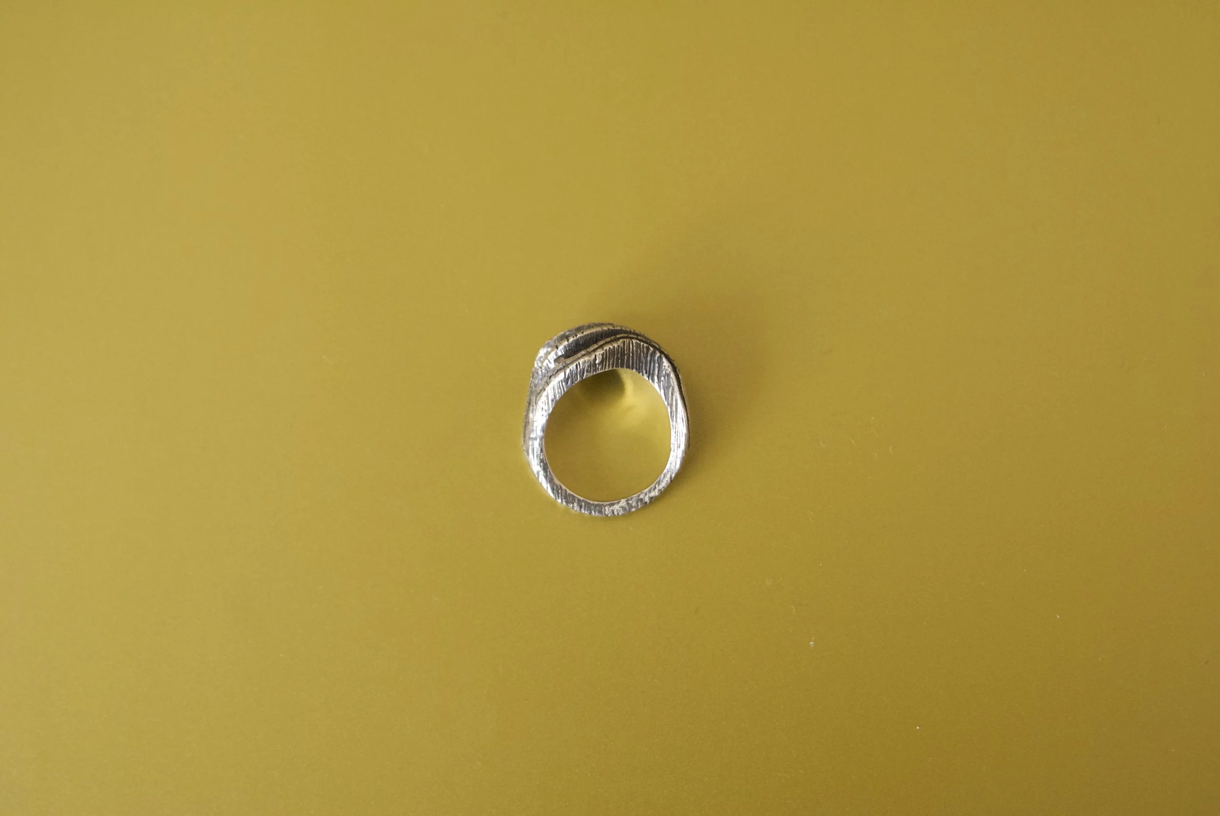 DSC08104.jpeg