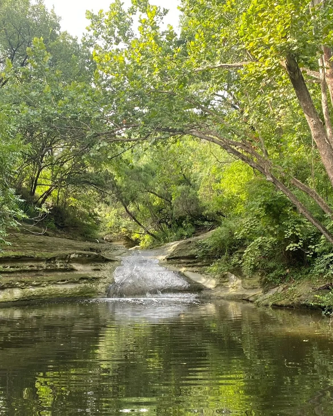 Feeling extra grateful to call Austin home. Beautiful in so many different ways and our mission is to keep it that way &amp; beyond! It&rsquo;s a privilege to show up for our city and commit to MAKE AUSTIN CLEAN!