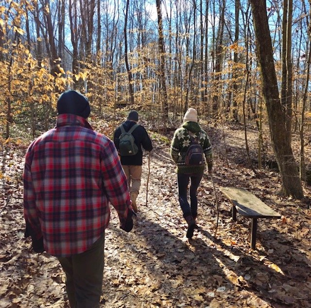 🌿 The Healing Path Underfoot:Making Guided Forest Bathing a Ritual of Renewal