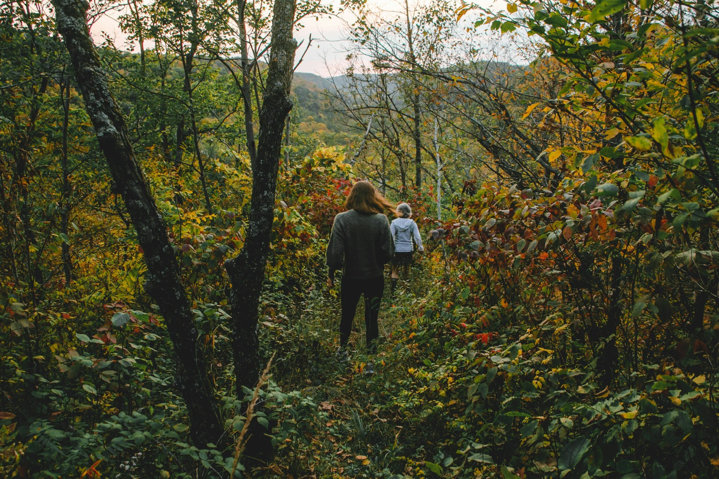 Read This Before Your First Forest Bathing Session.