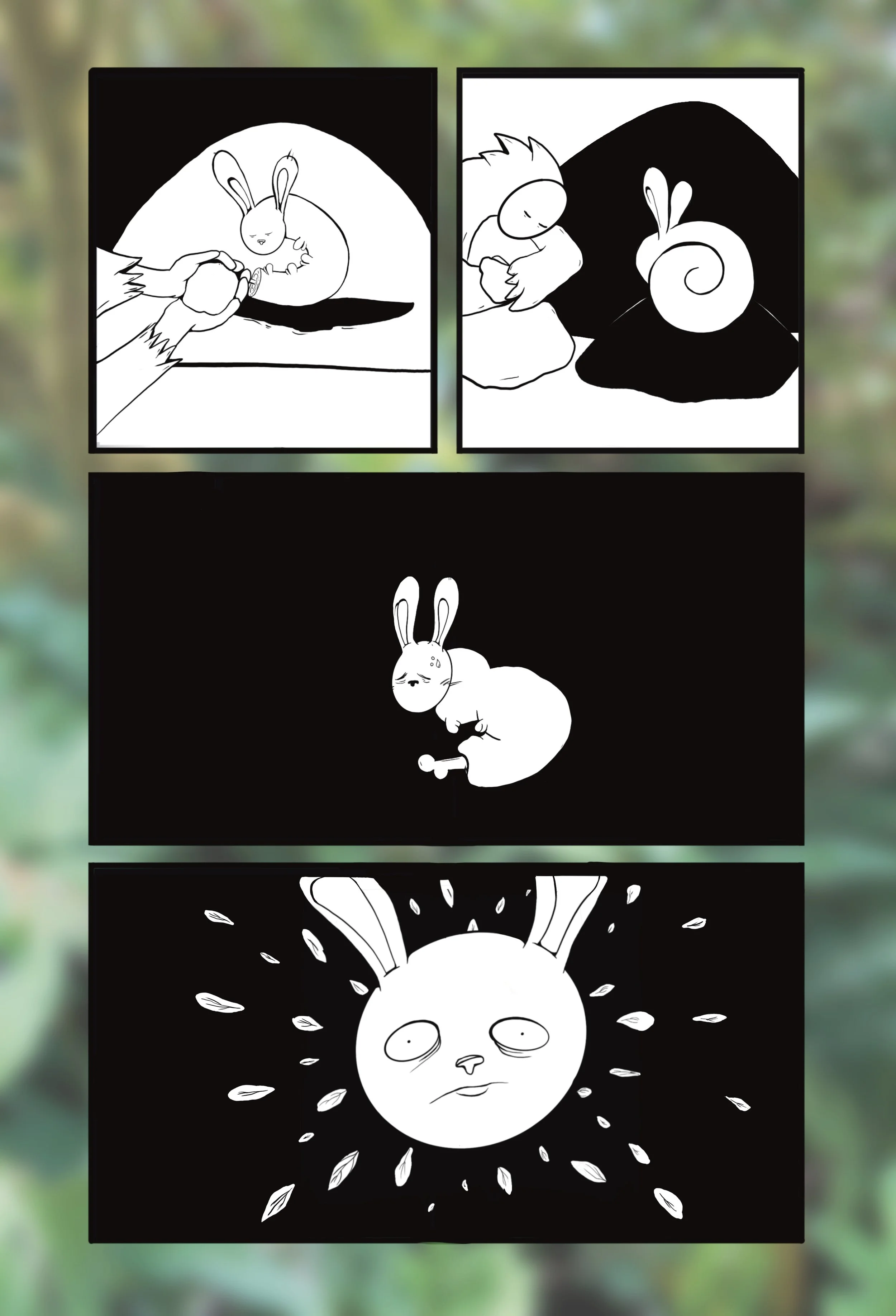 27.jpg