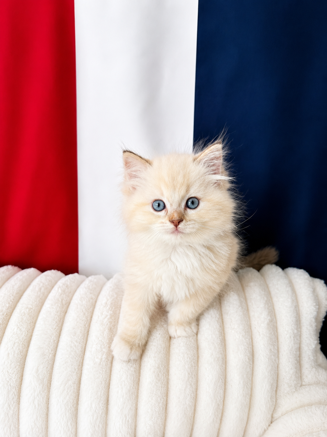 2689A19D-1C06-4985-BE5E-8AEA56484D6E.png