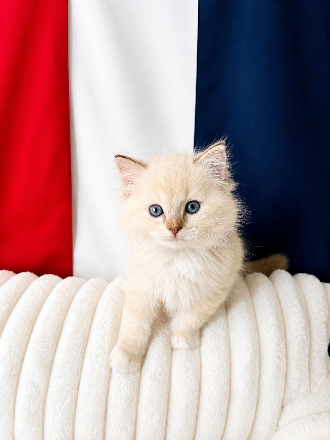 C6814D4B-C3BB-4C3D-ABB6-5FF026F9FDDB.png