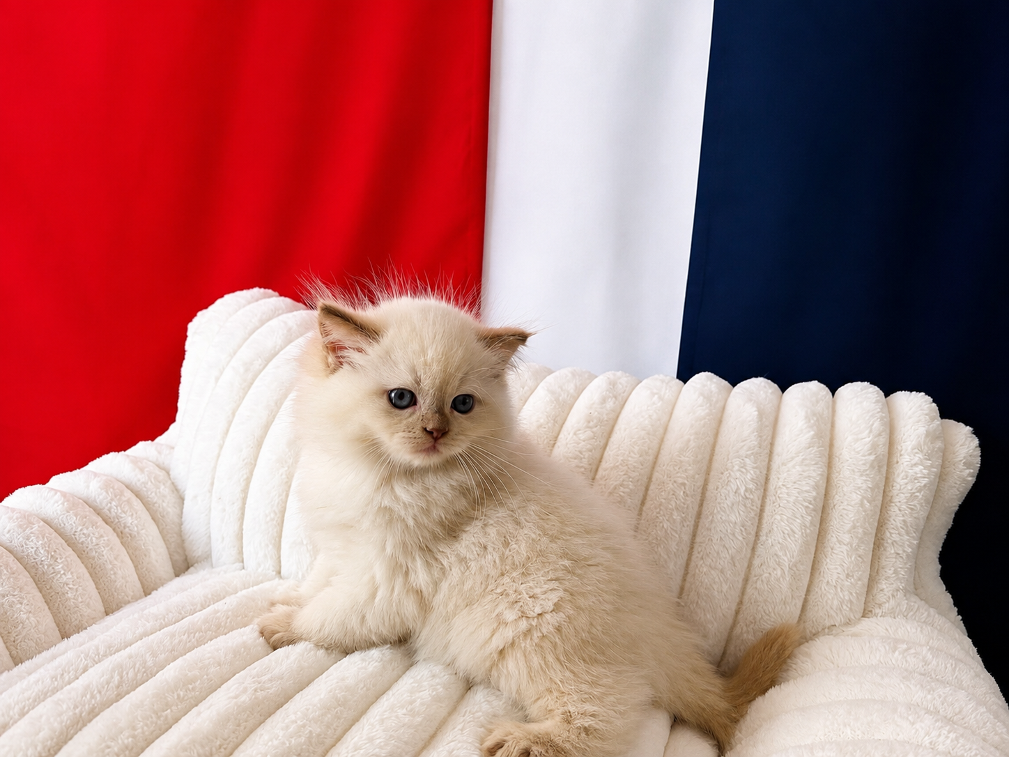 54F256DF-ED2A-4604-A8CE-1389D0B8E43D.png