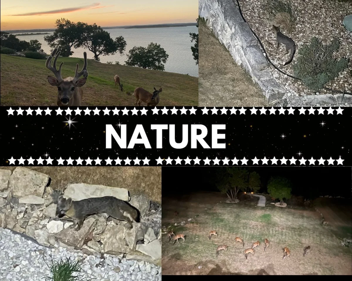 Nature.jpg