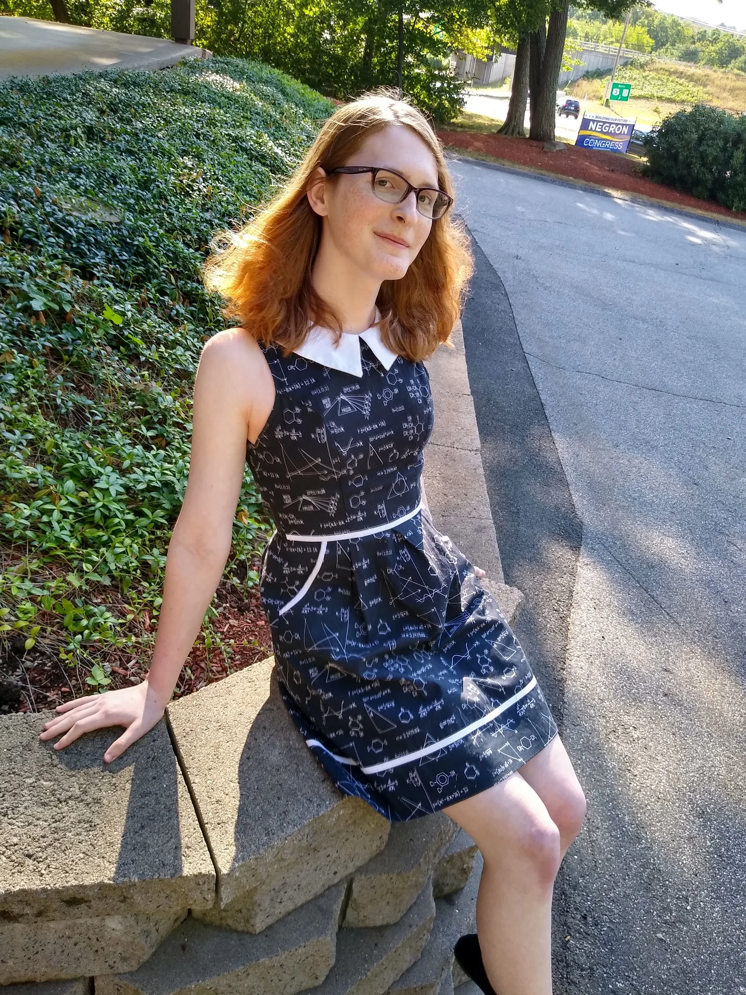 about-alice-for-nh