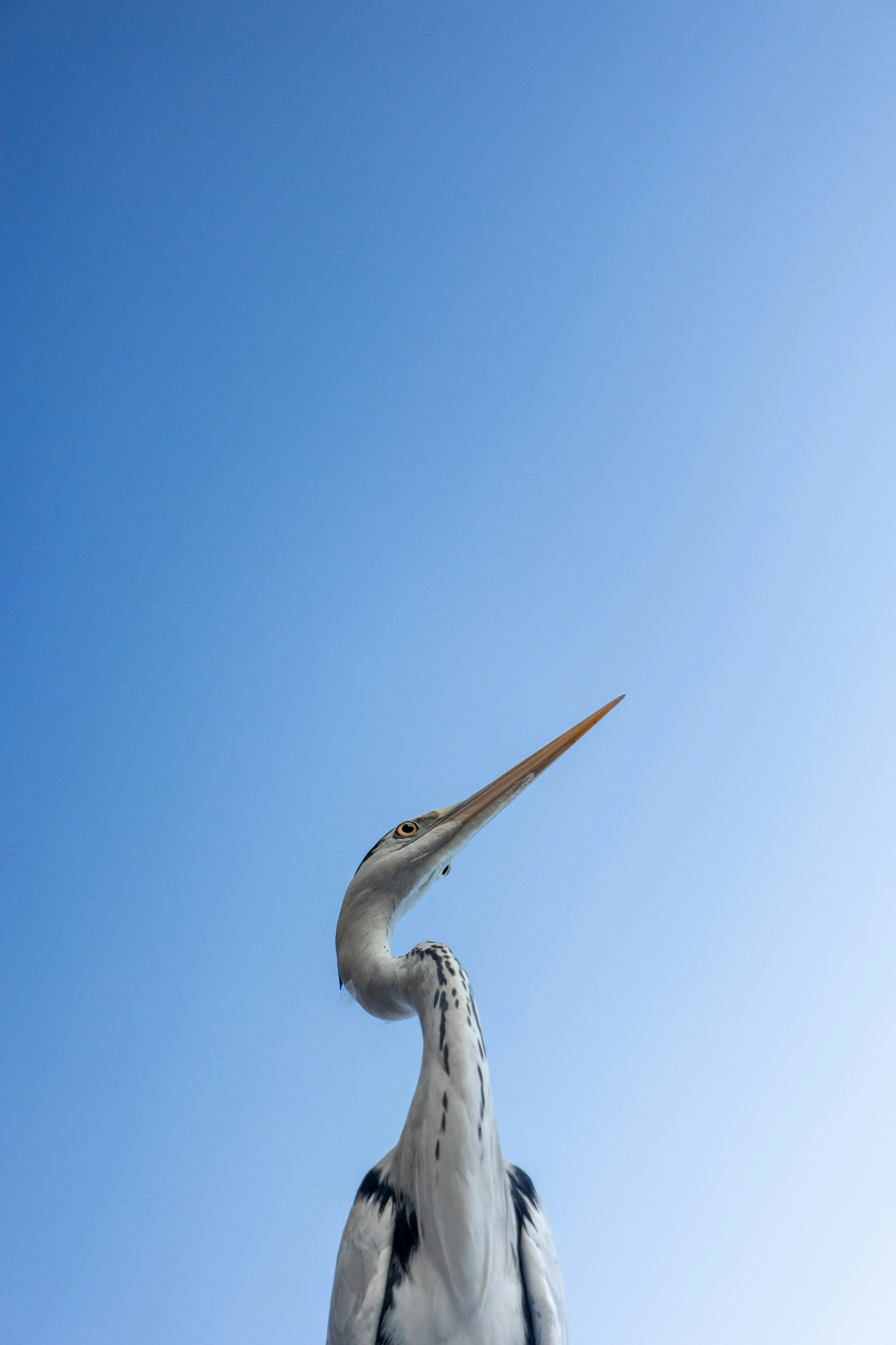 Logo, marka, „brand” – czym się różnią&nbsp;&nbsp;